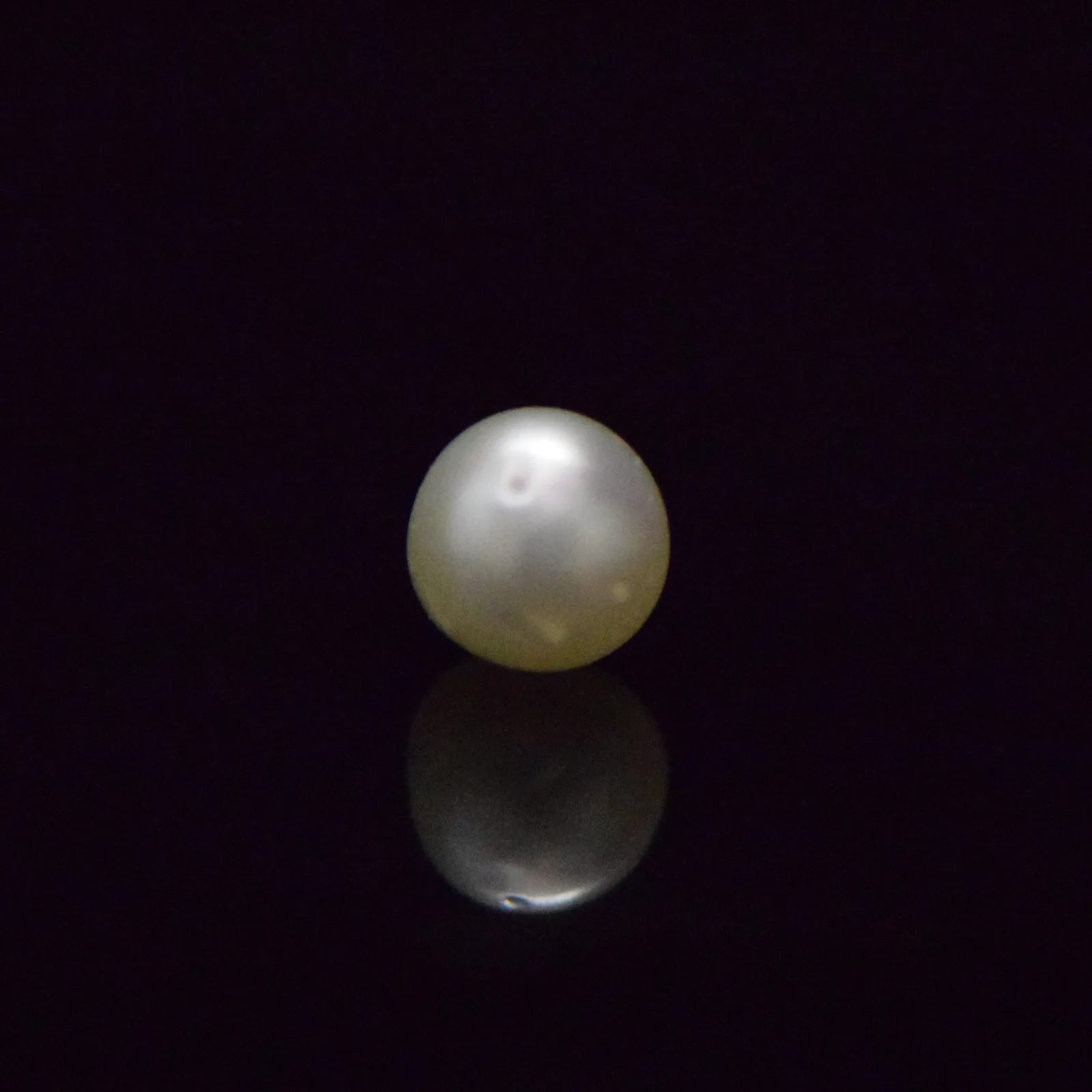 South Sea Pearl - 6.53 Carat