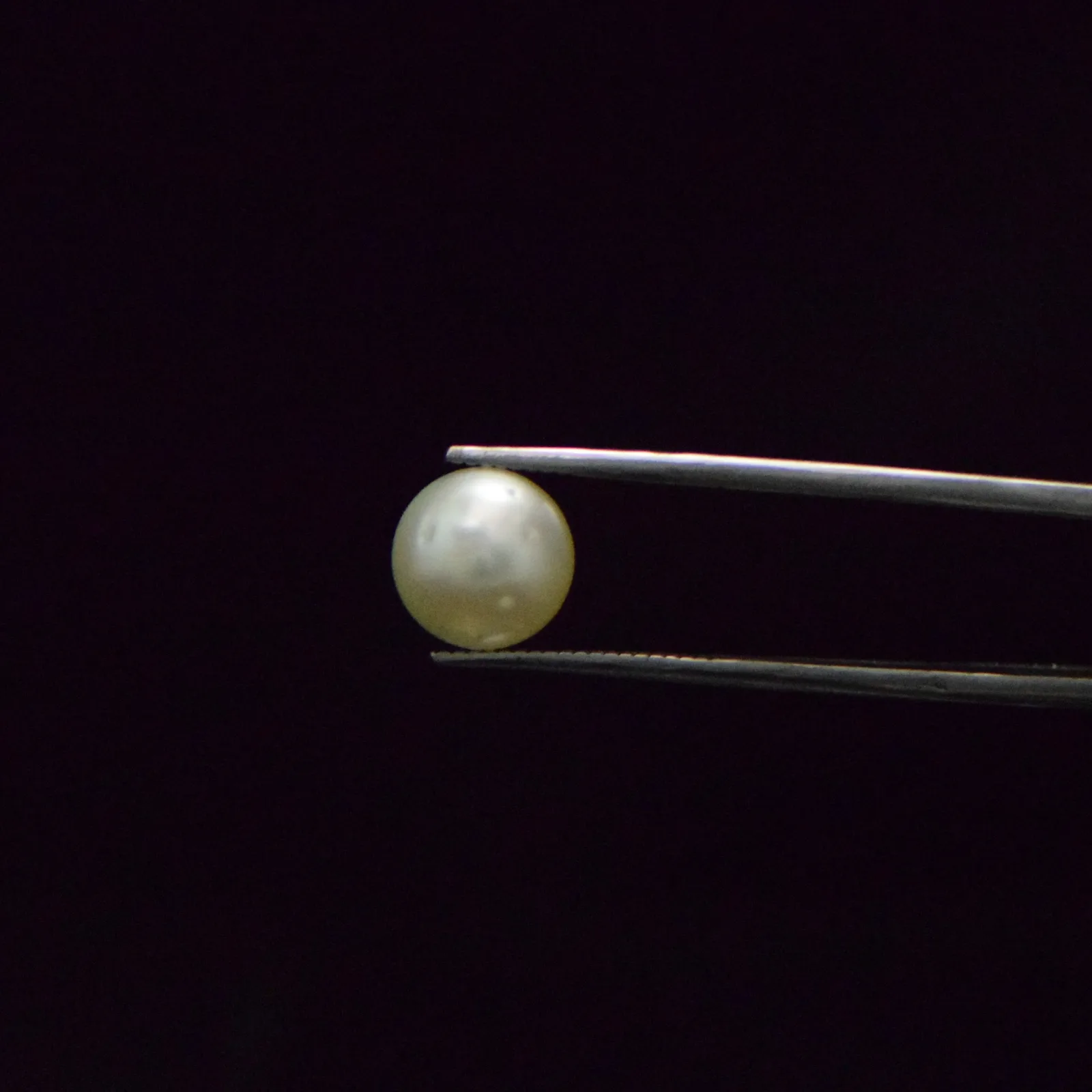 South Sea Pearl - 6.53 Carat
