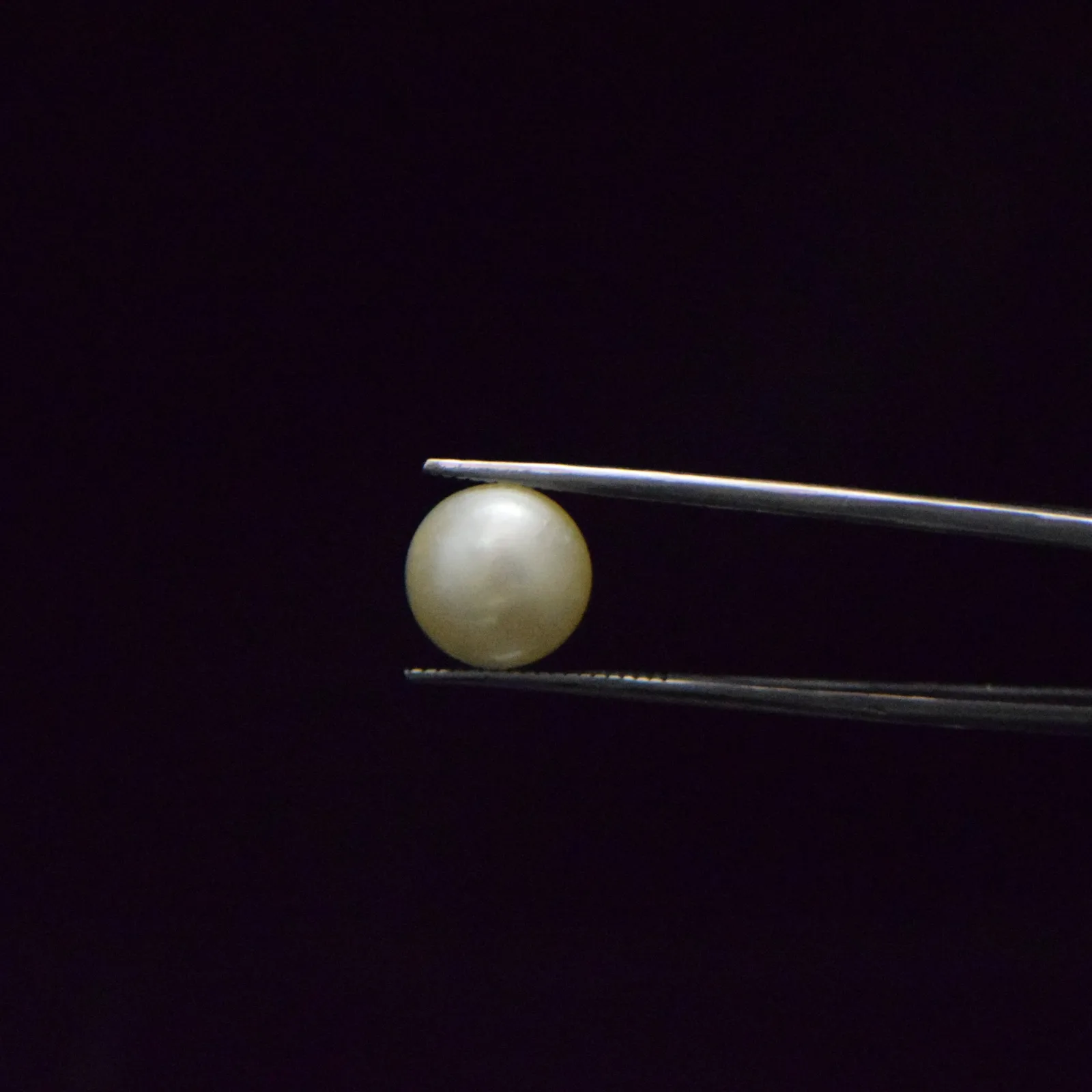 South Sea Pearl - 8.55 Carat