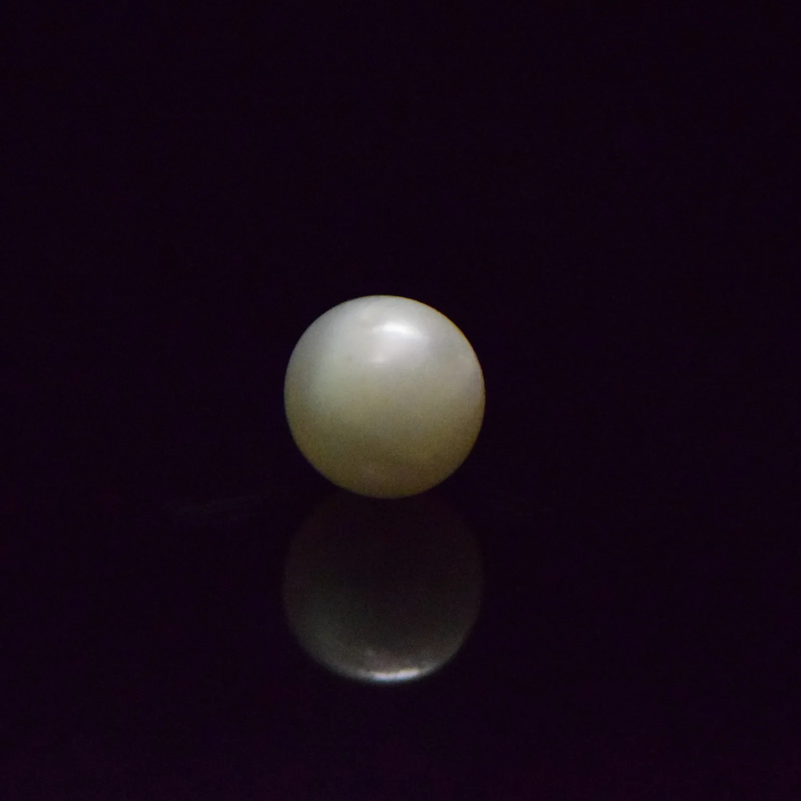 South Sea Pearl - 6.84 Carat