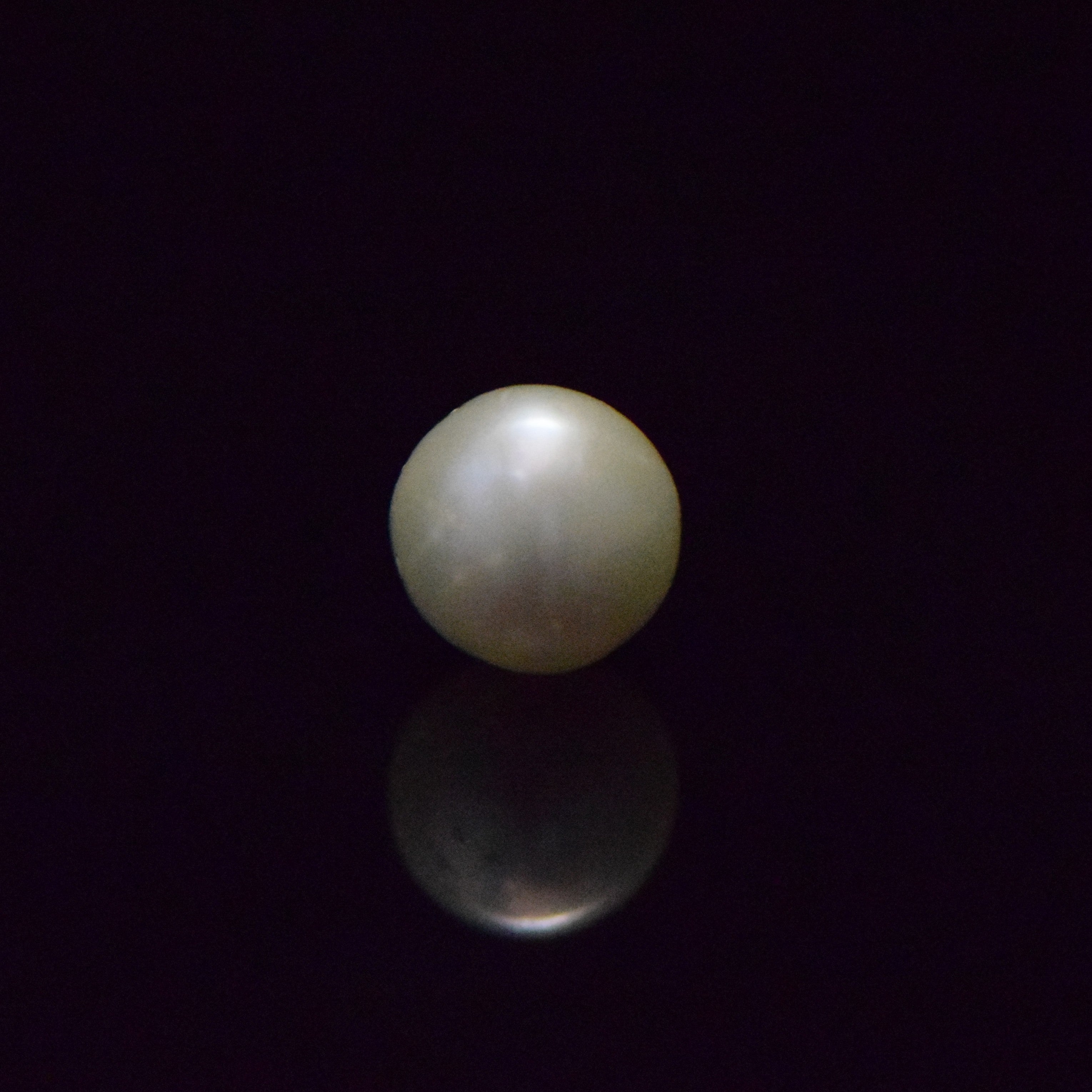 South Sea Pearl - 6.75 Carat
