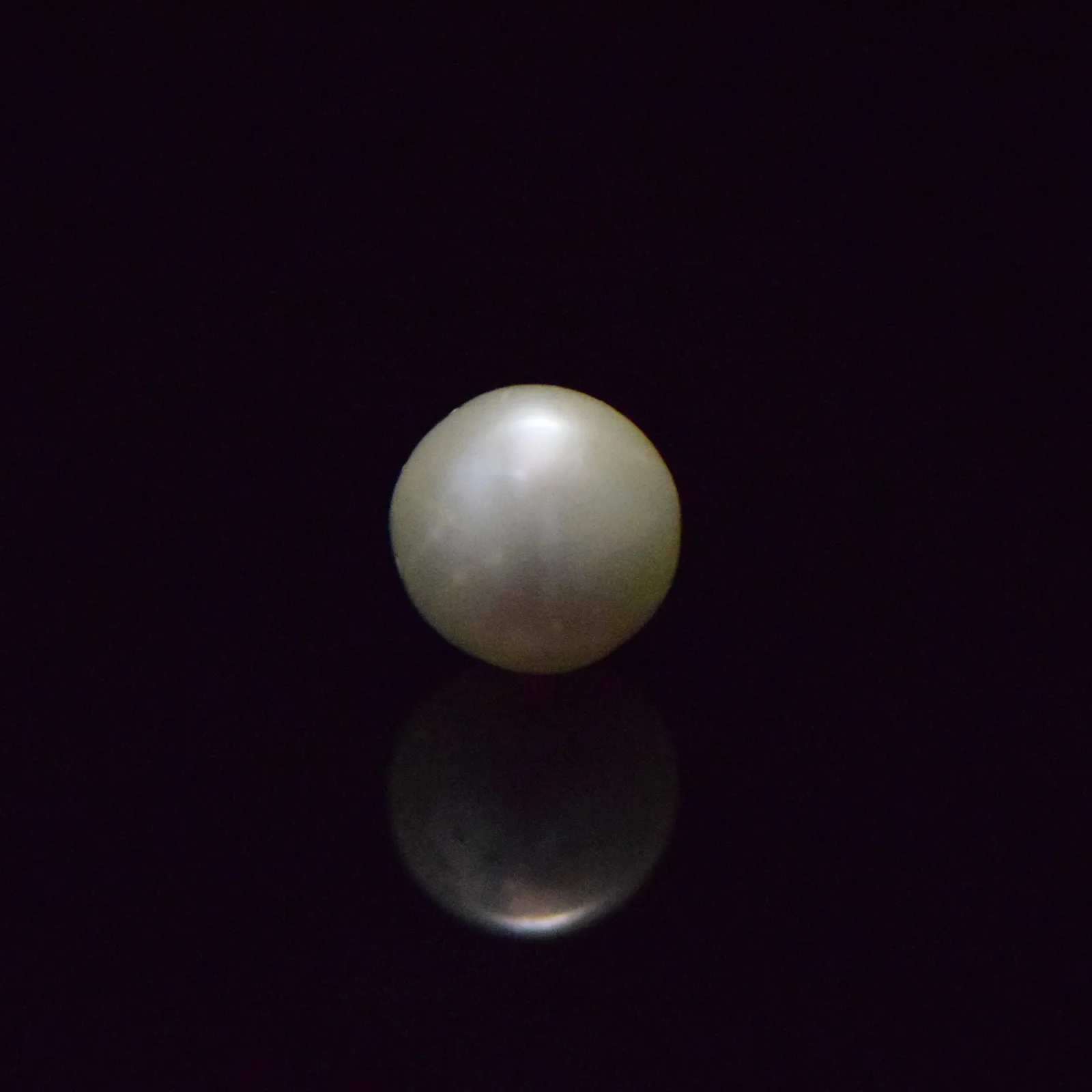South Sea Pearl - 6.75 Carat