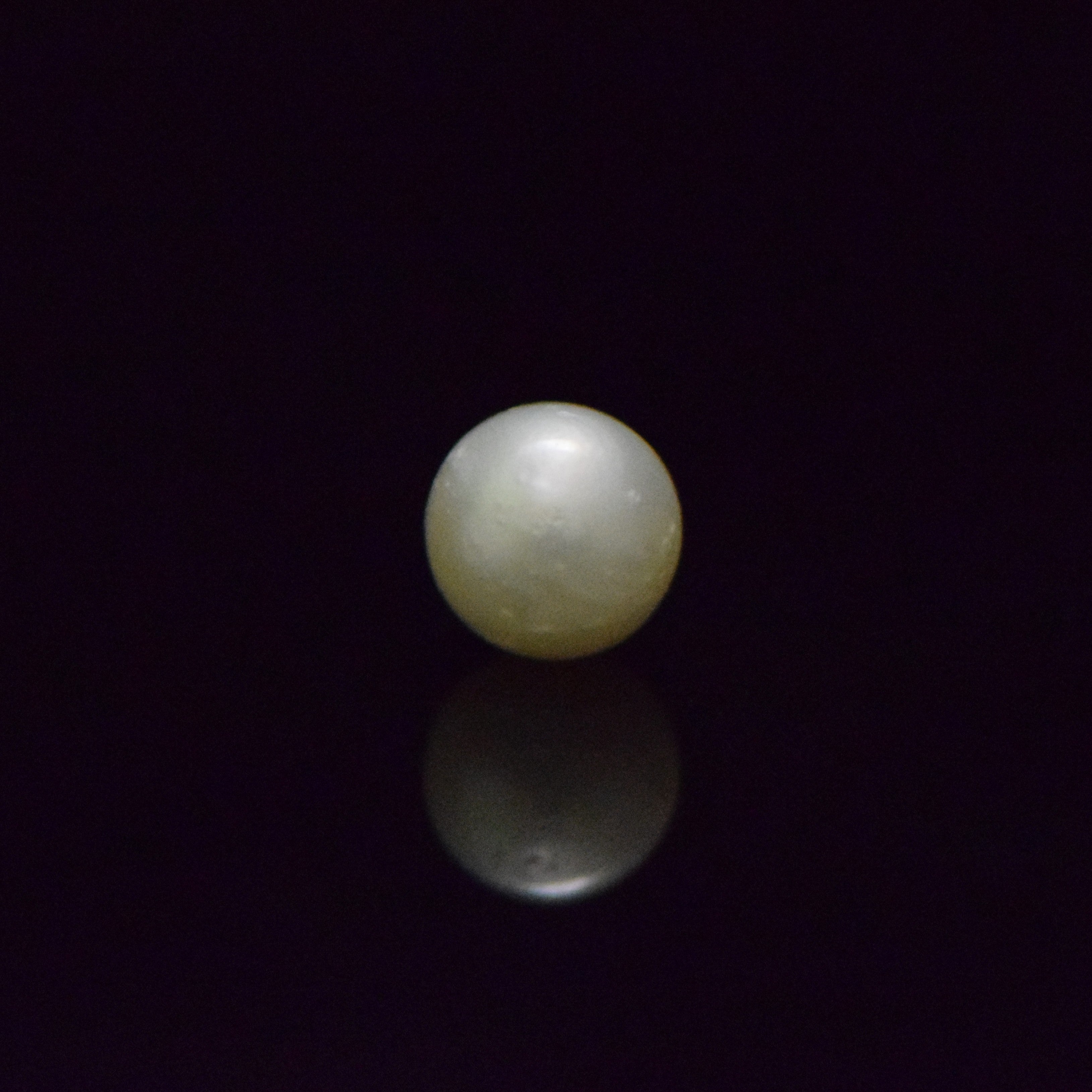 South Sea Pearl - 7.38 Carat