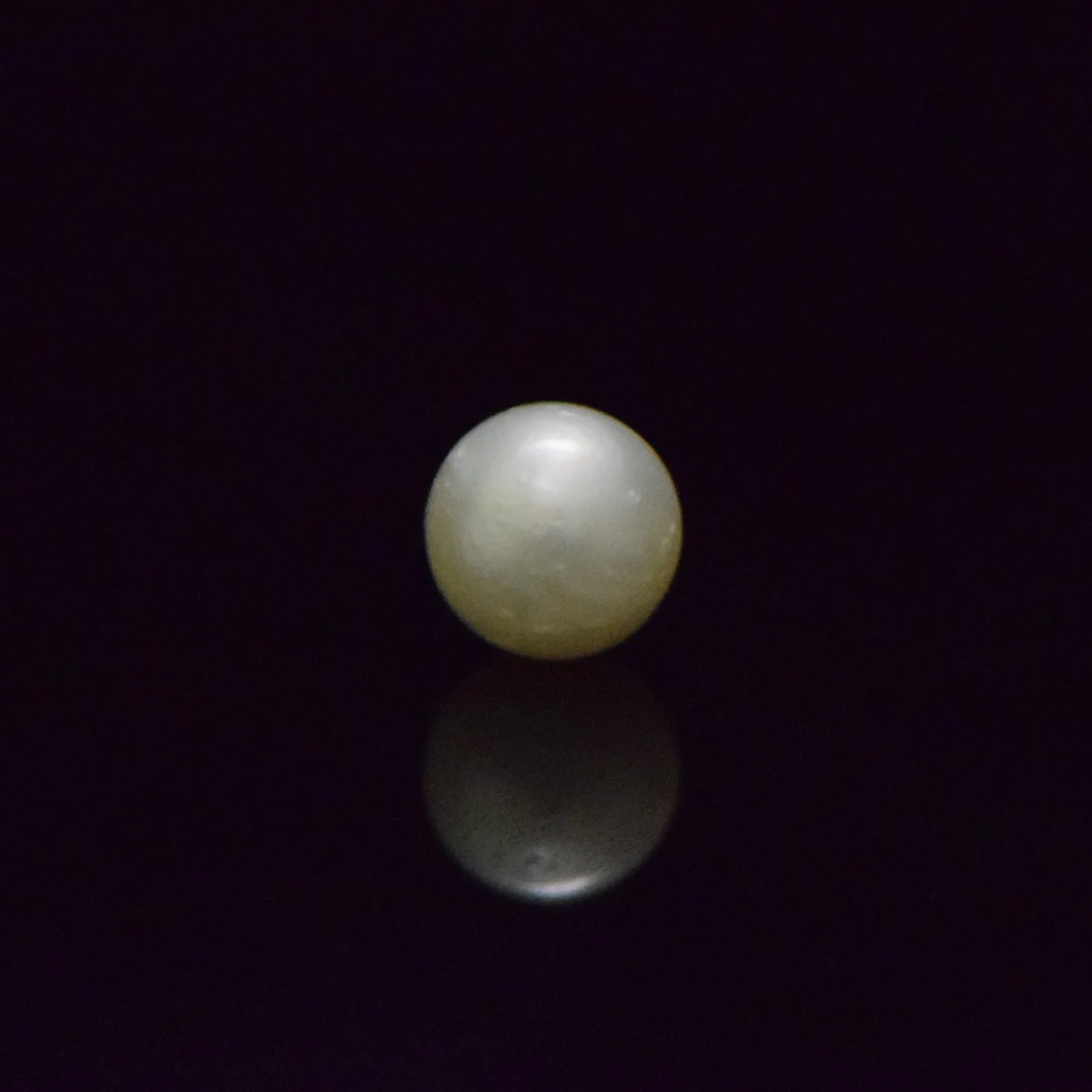 South Sea Pearl - 7.38 Carat