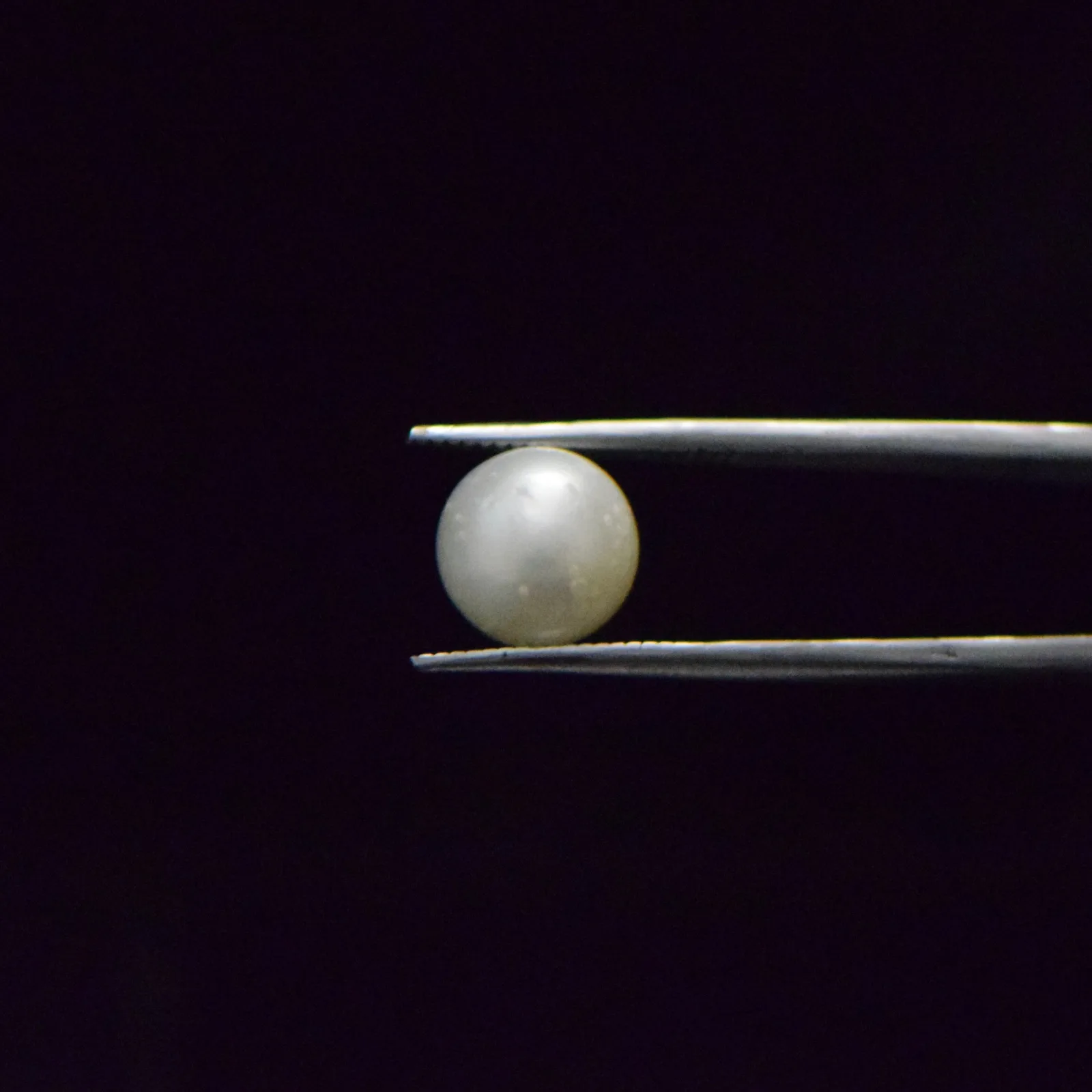 South Sea Pearl - 7.38 Carat