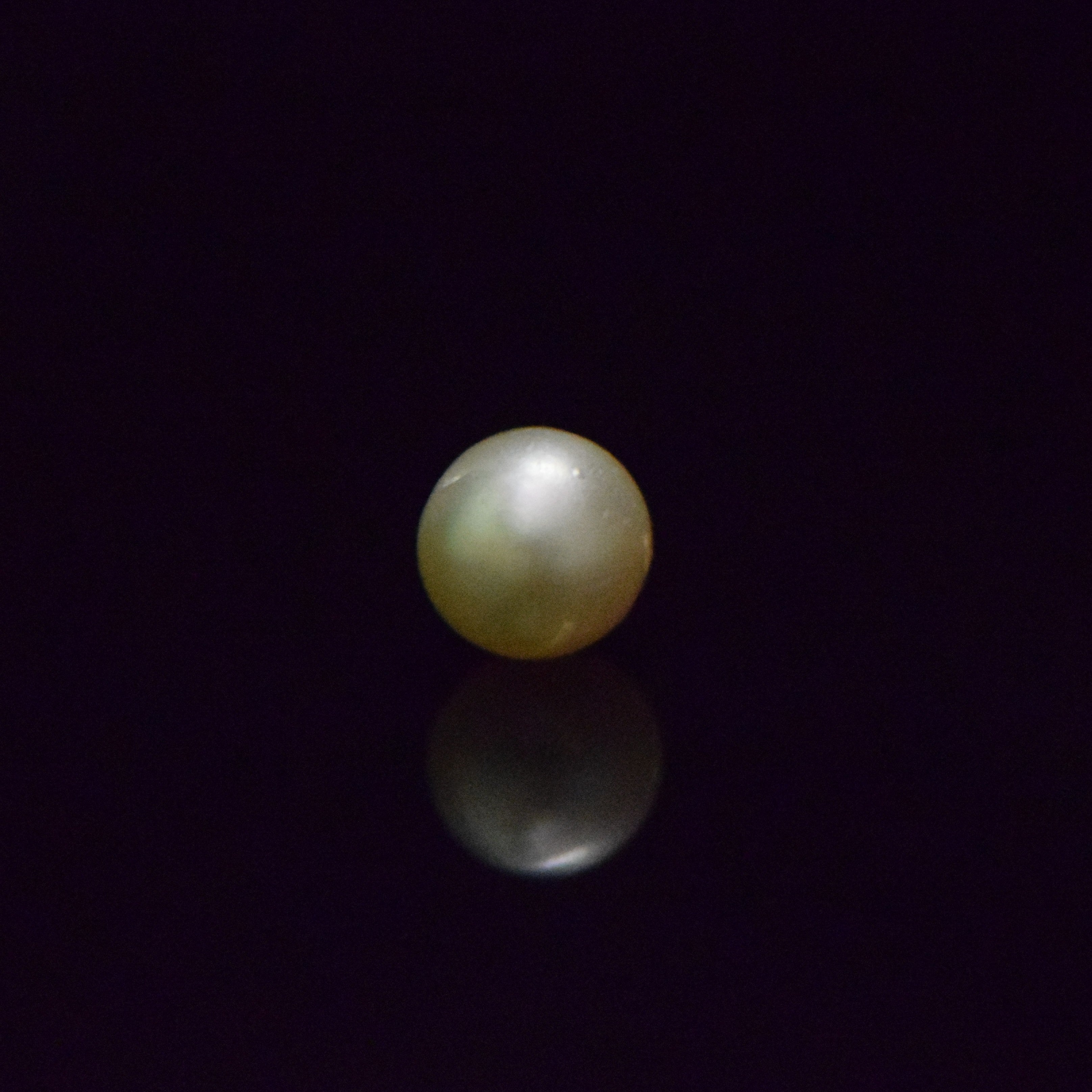 South Sea Pearl - 5.76 Carat