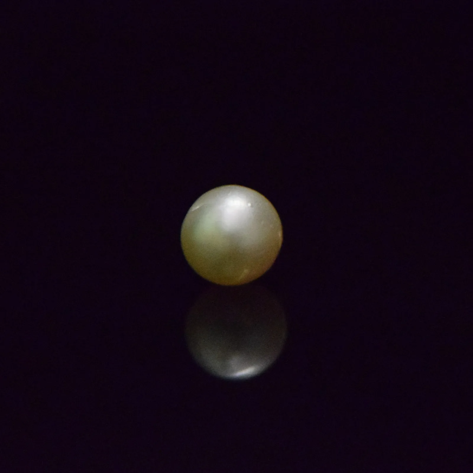 South Sea Pearl - 5.76 Carat