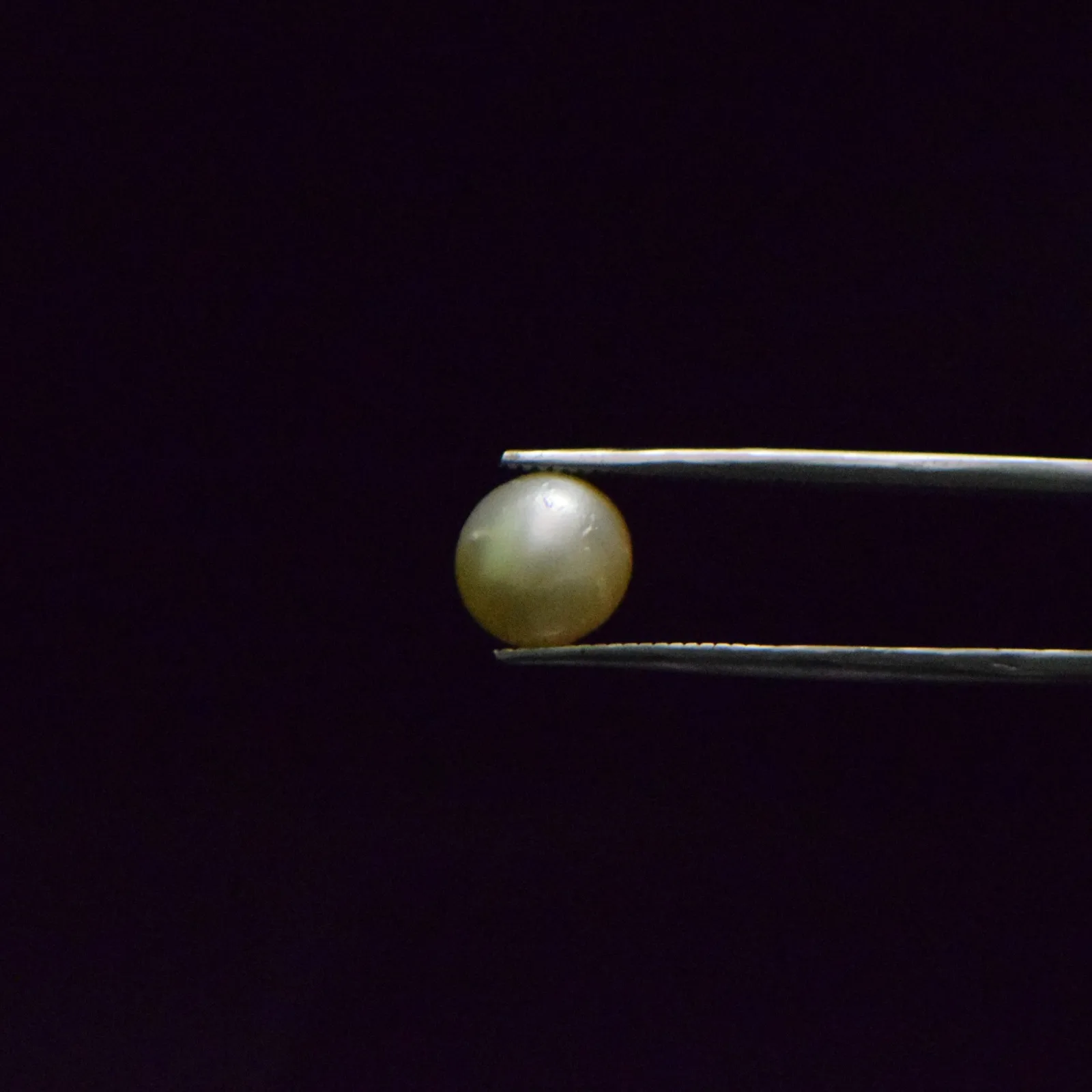 South Sea Pearl - 5.76 Carat