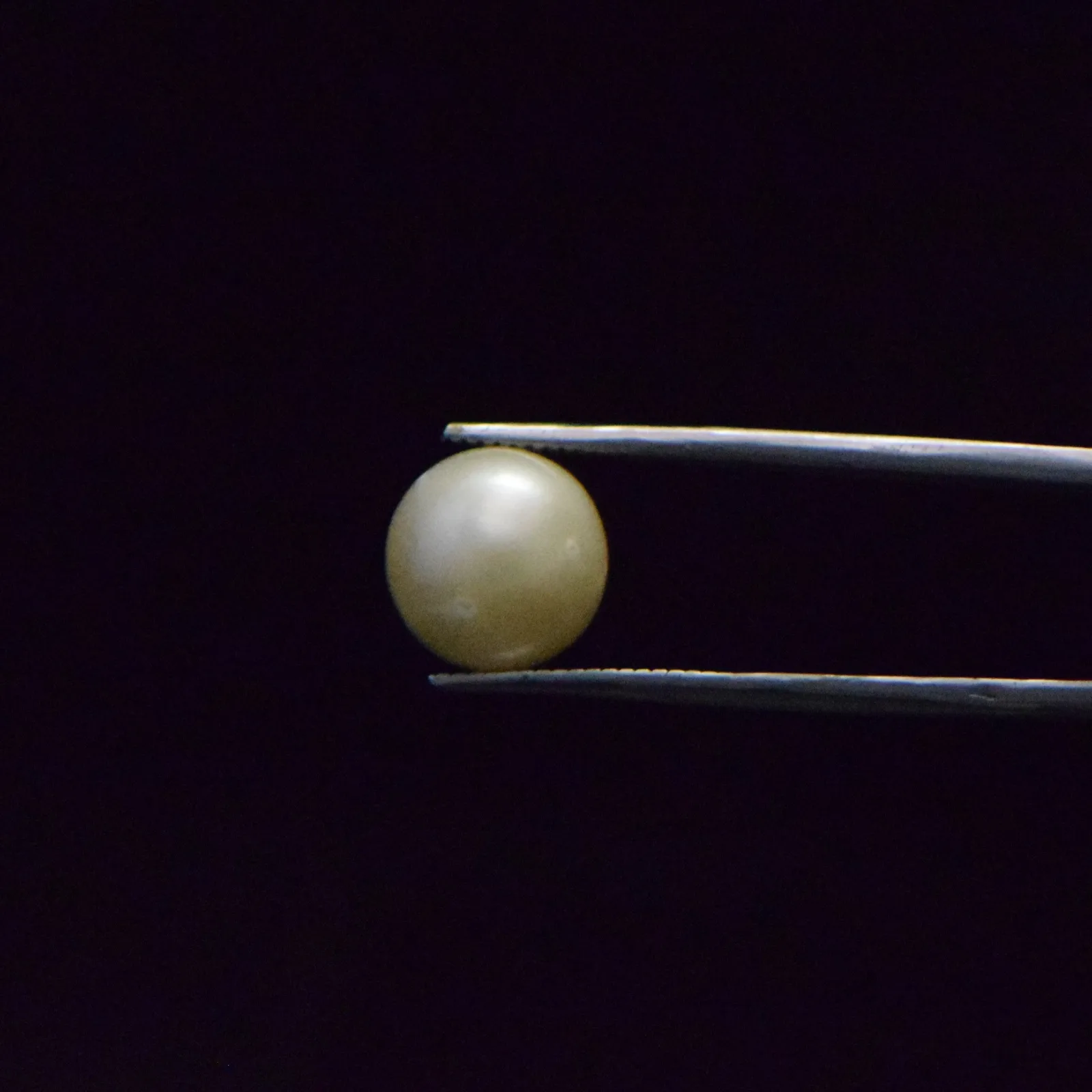 South Sea Pearl - 9.28 Carat