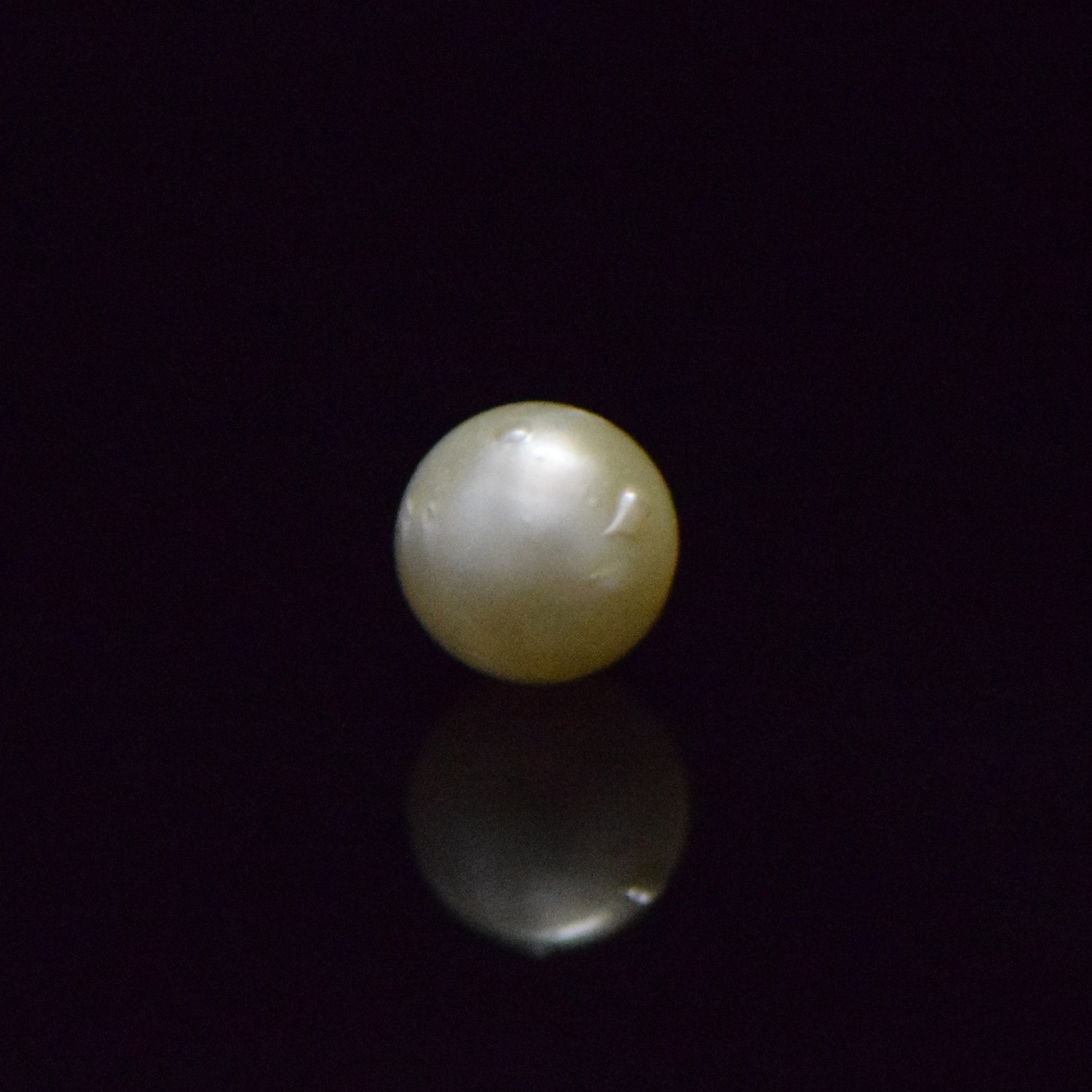 South Sea Pearl - 7.61 Carat
