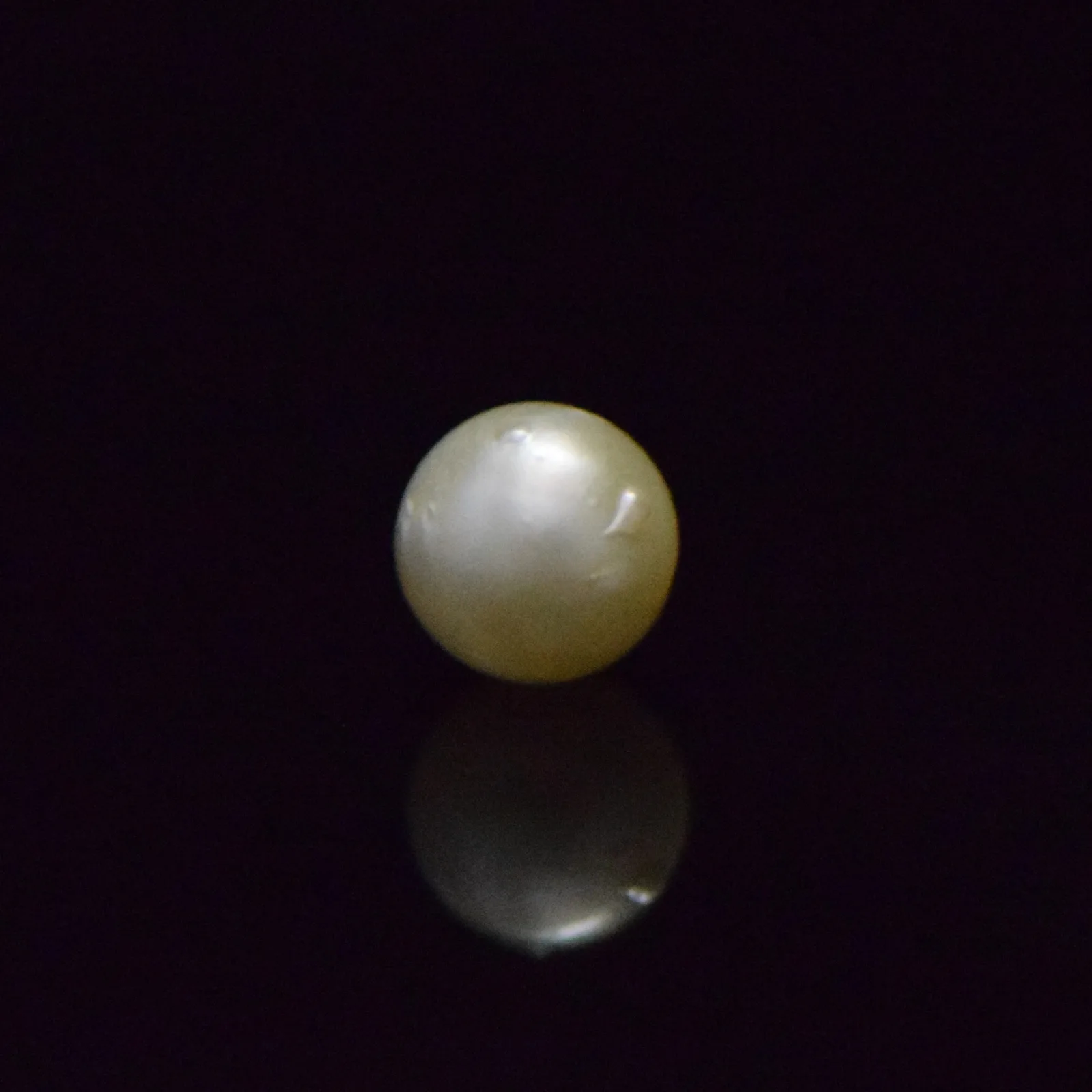 South Sea Pearl - 7.61 Carat