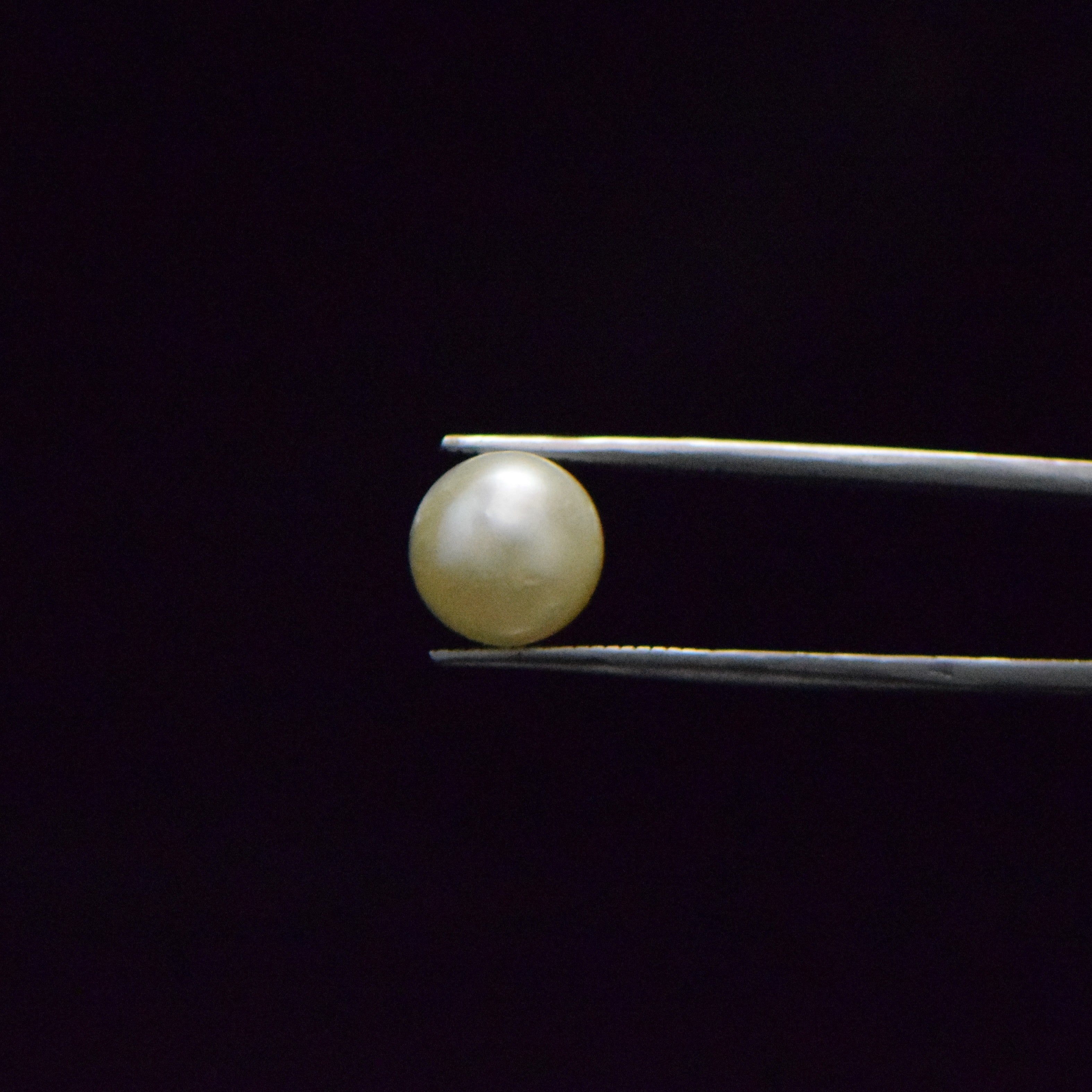 South Sea Pearl - 7.61 Carat