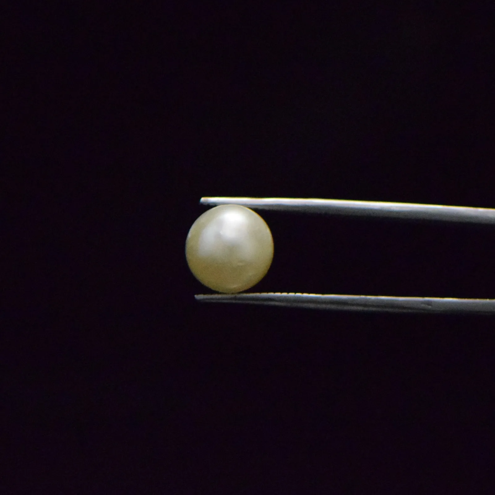 South Sea Pearl - 7.61 Carat