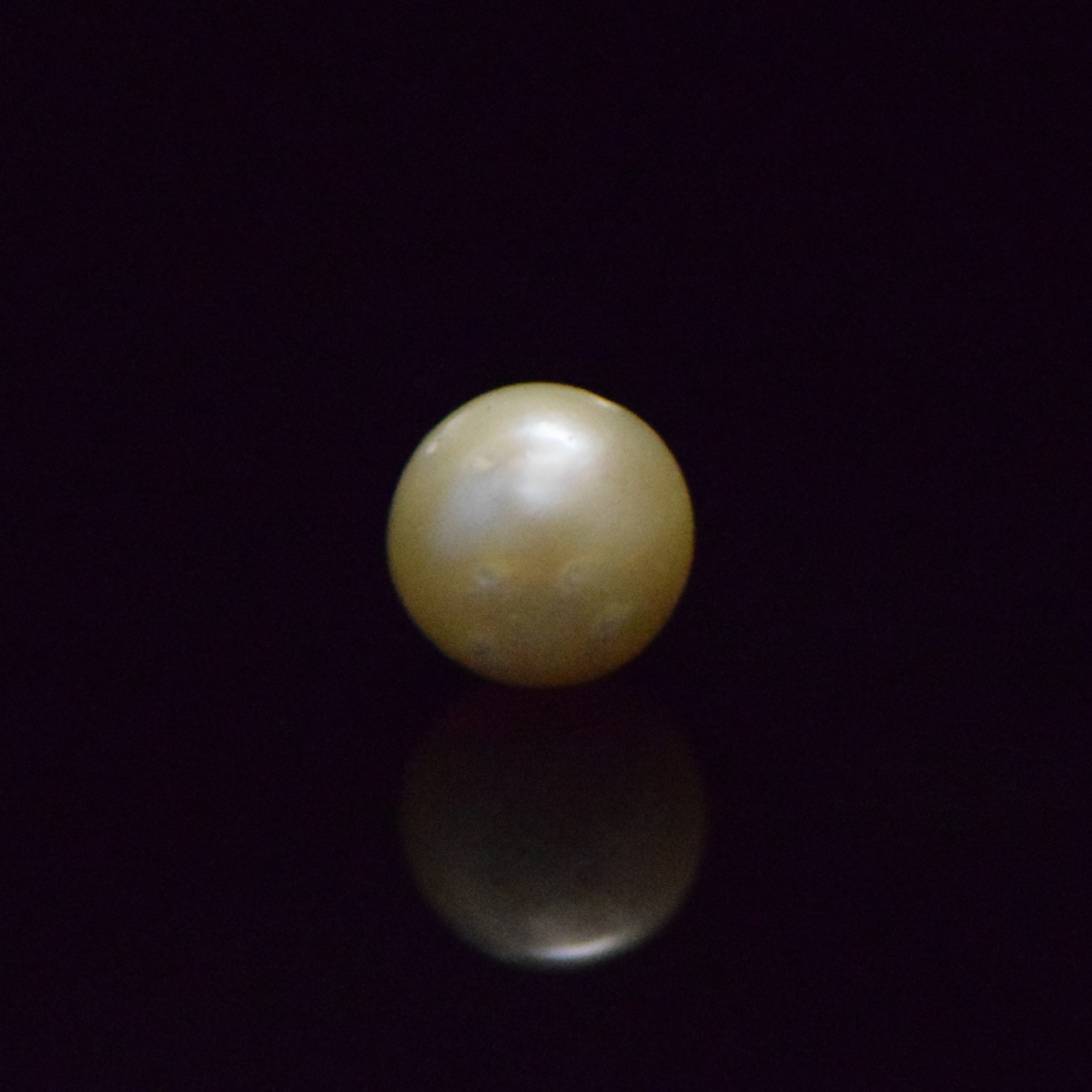 South Sea Pearl - 9.11 Carat