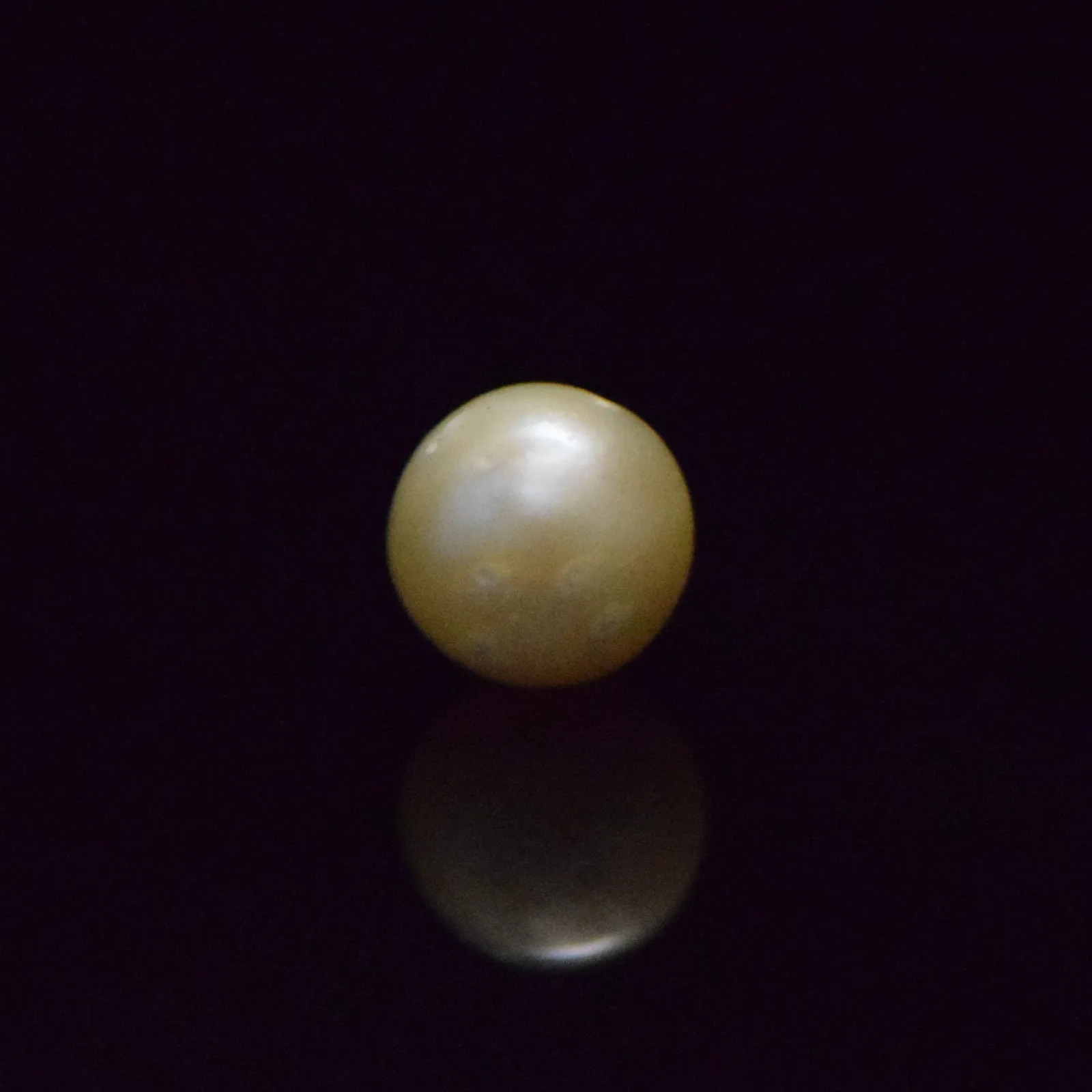 South Sea Pearl - 9.11 Carat