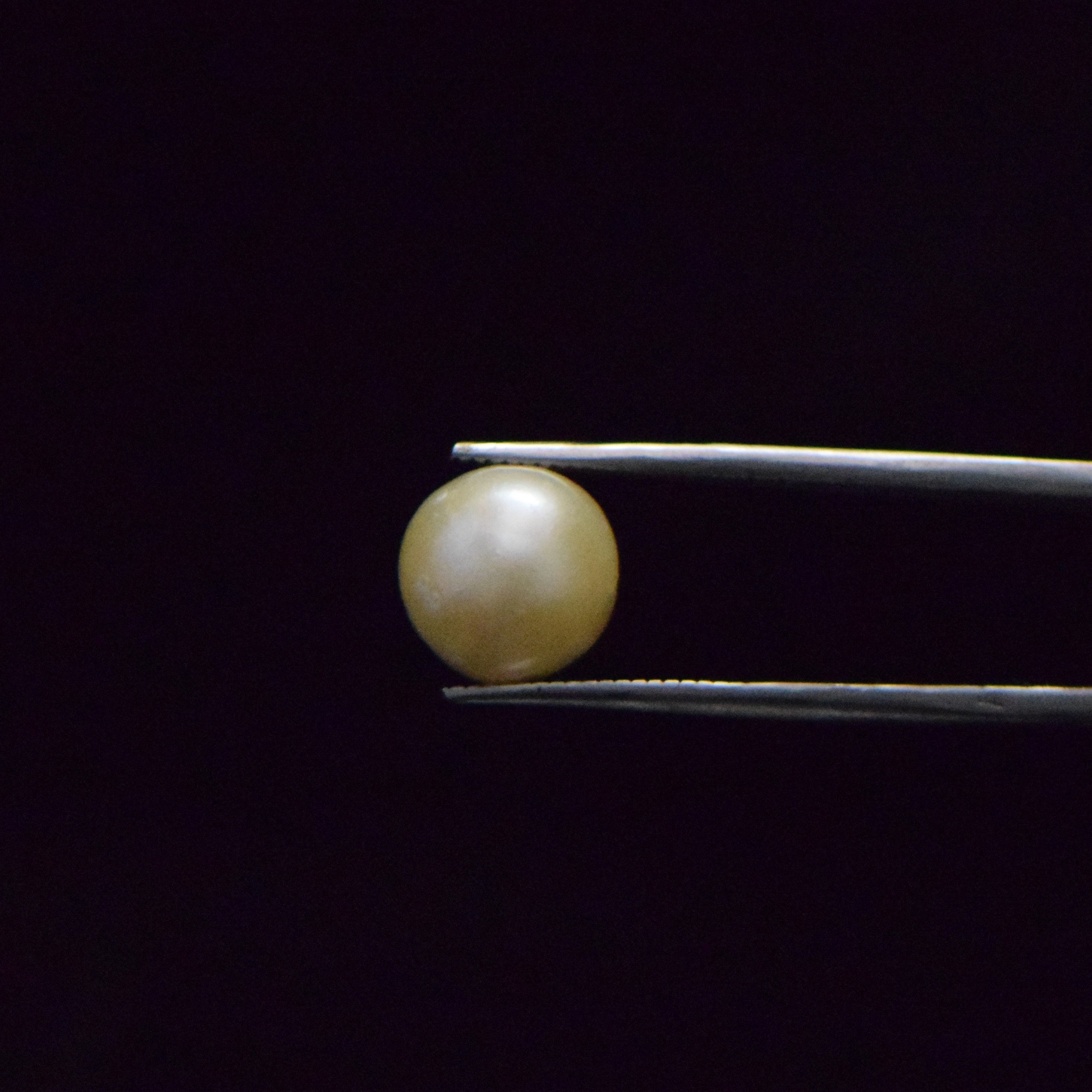 South Sea Pearl - 9.11 Carat