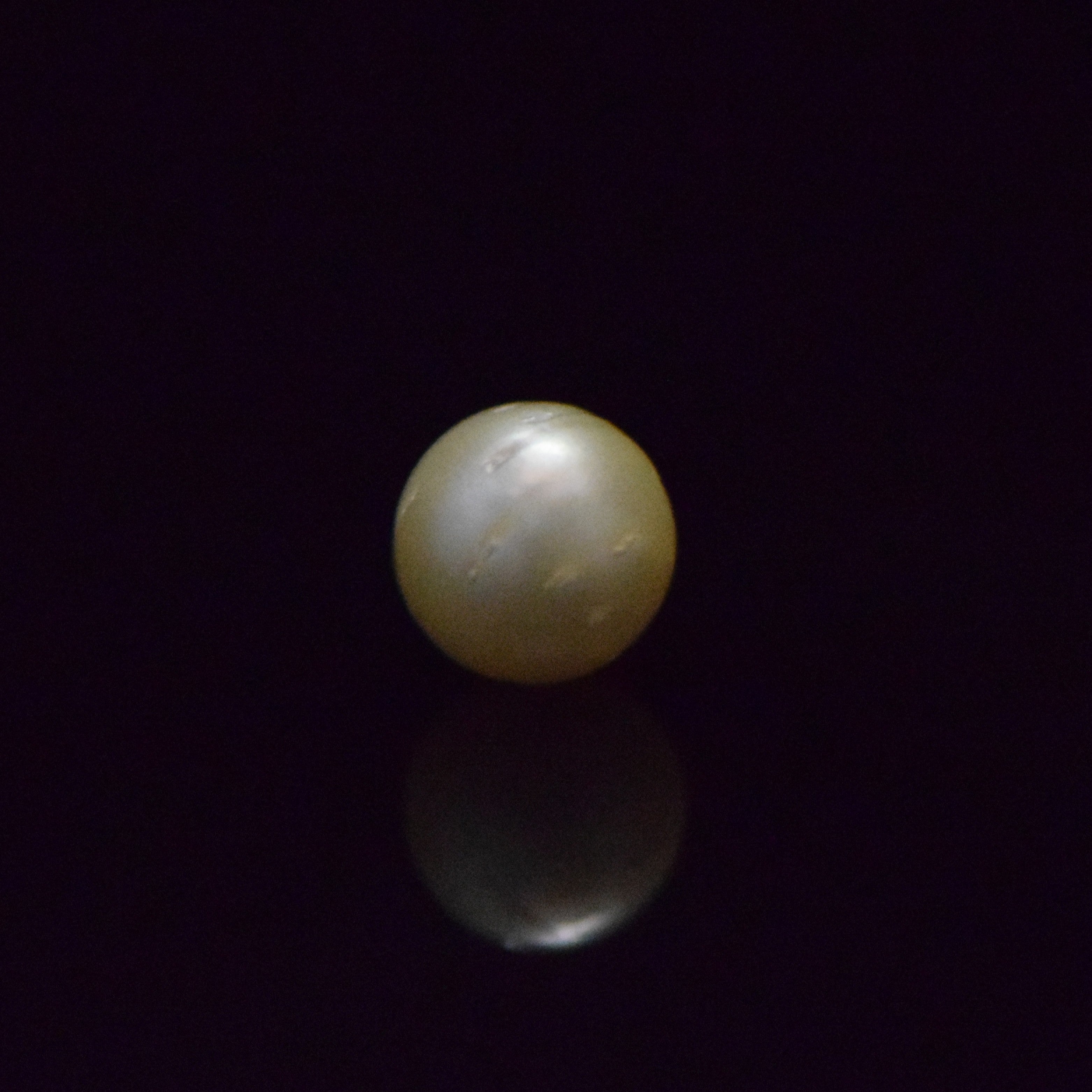 South Sea Pearl - 7.5 Carat