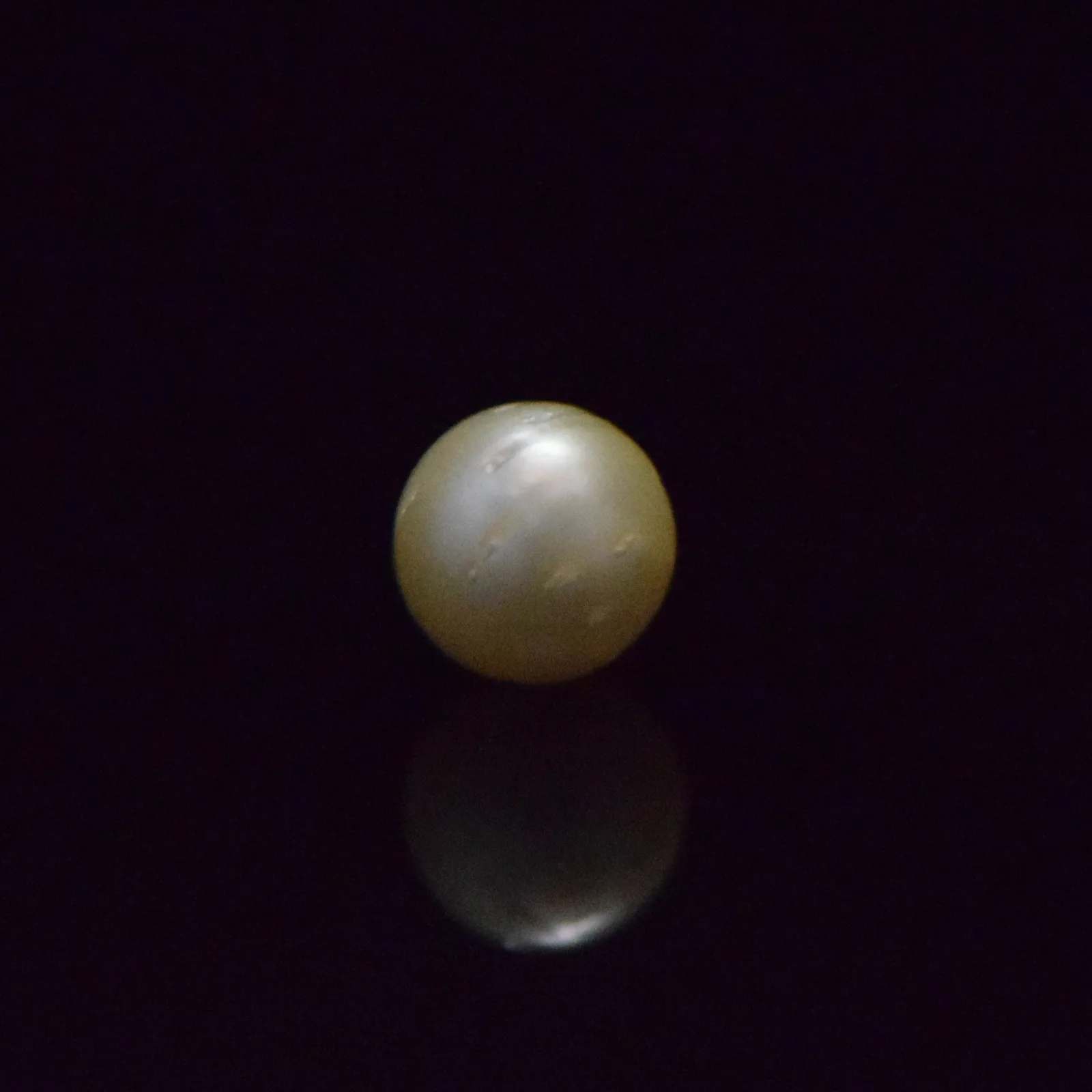 South Sea Pearl - 7.5 Carat