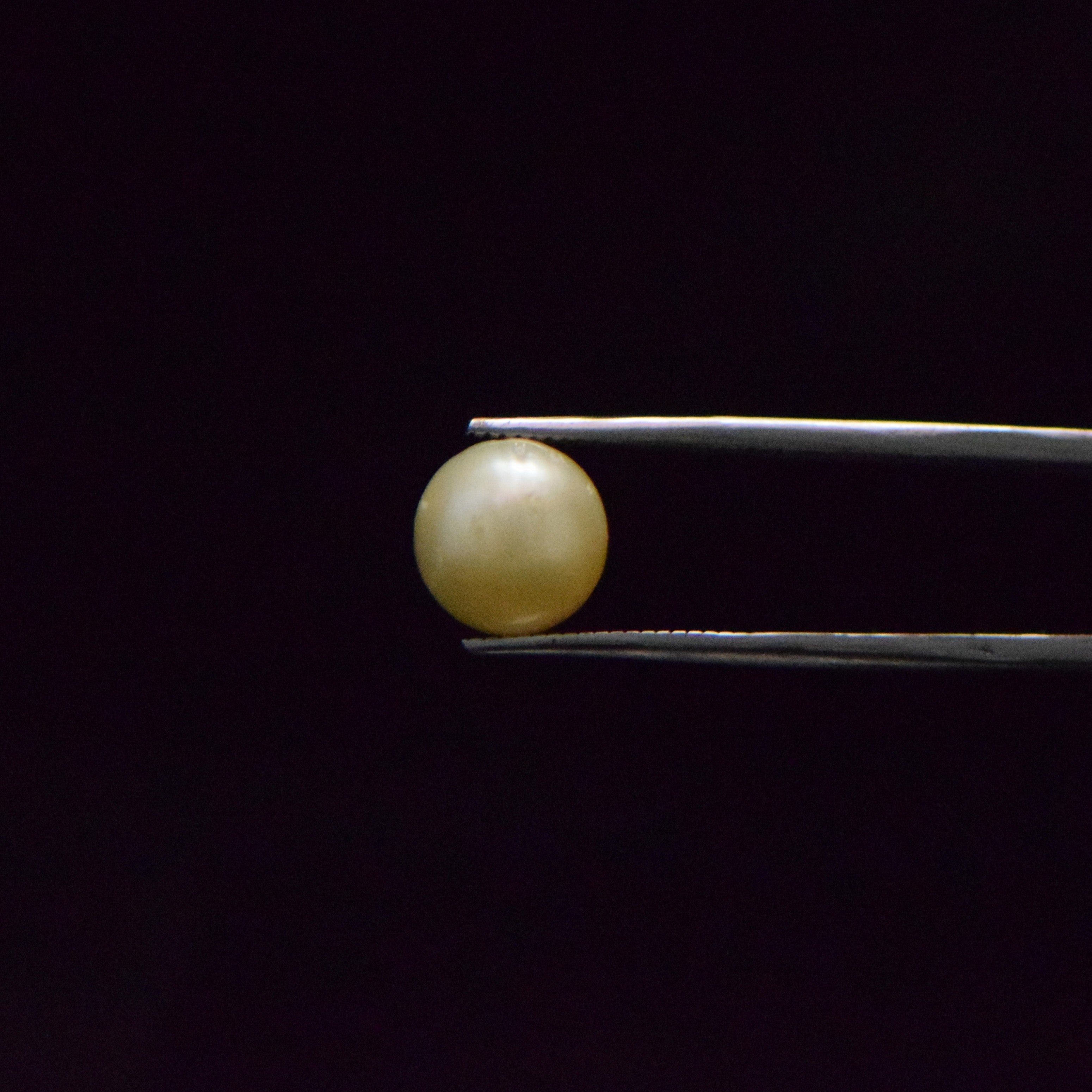 South Sea Pearl - 7.5 Carat