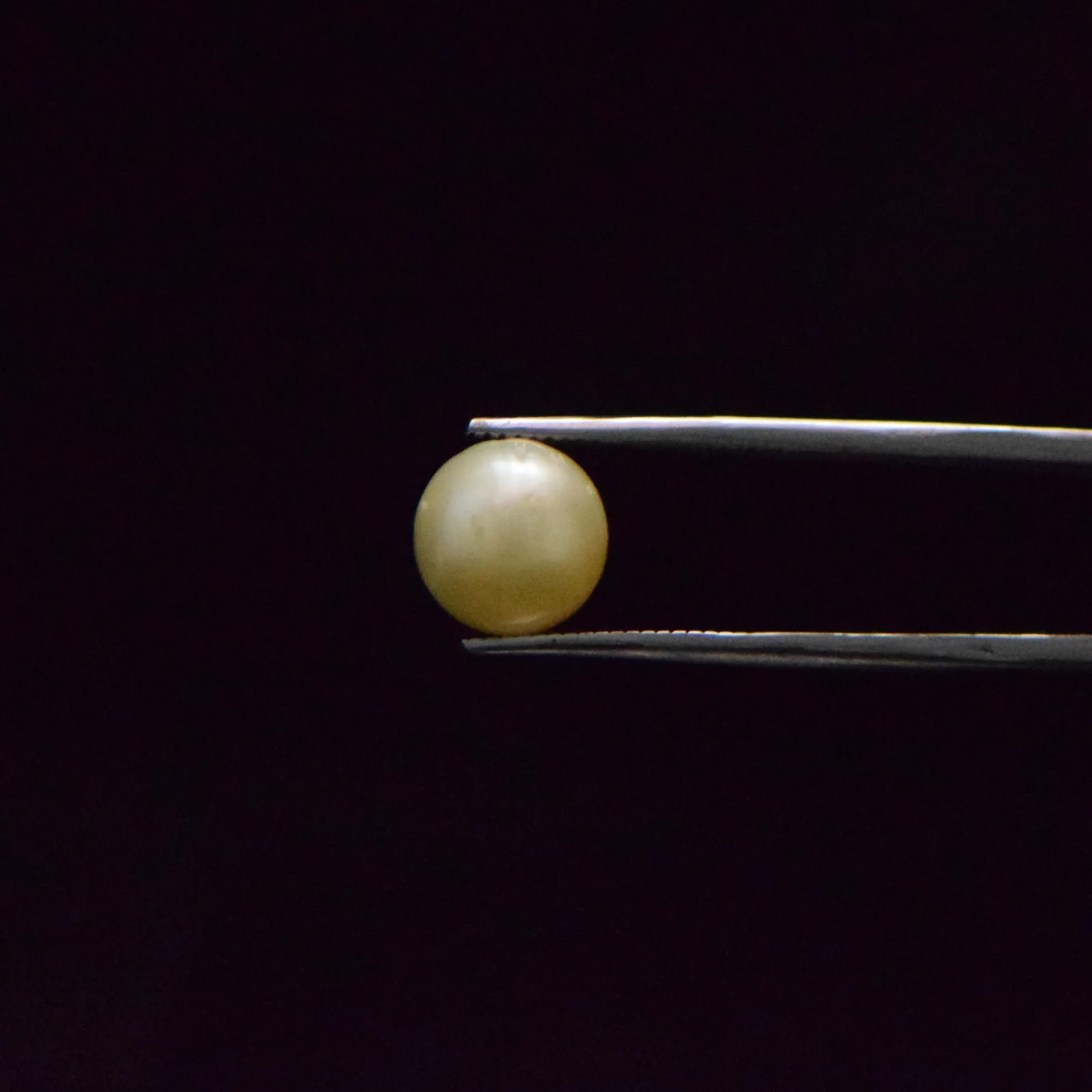 South Sea Pearl - 7.5 Carat