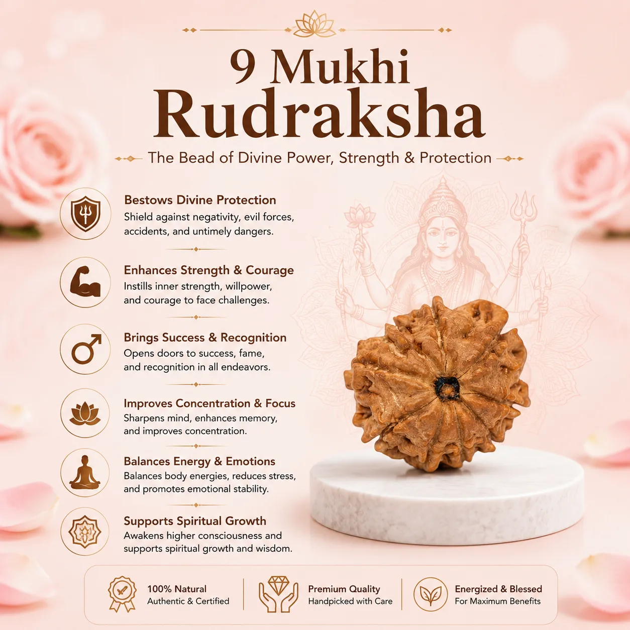 Natural 9 Mukhi Rudraksha Beads