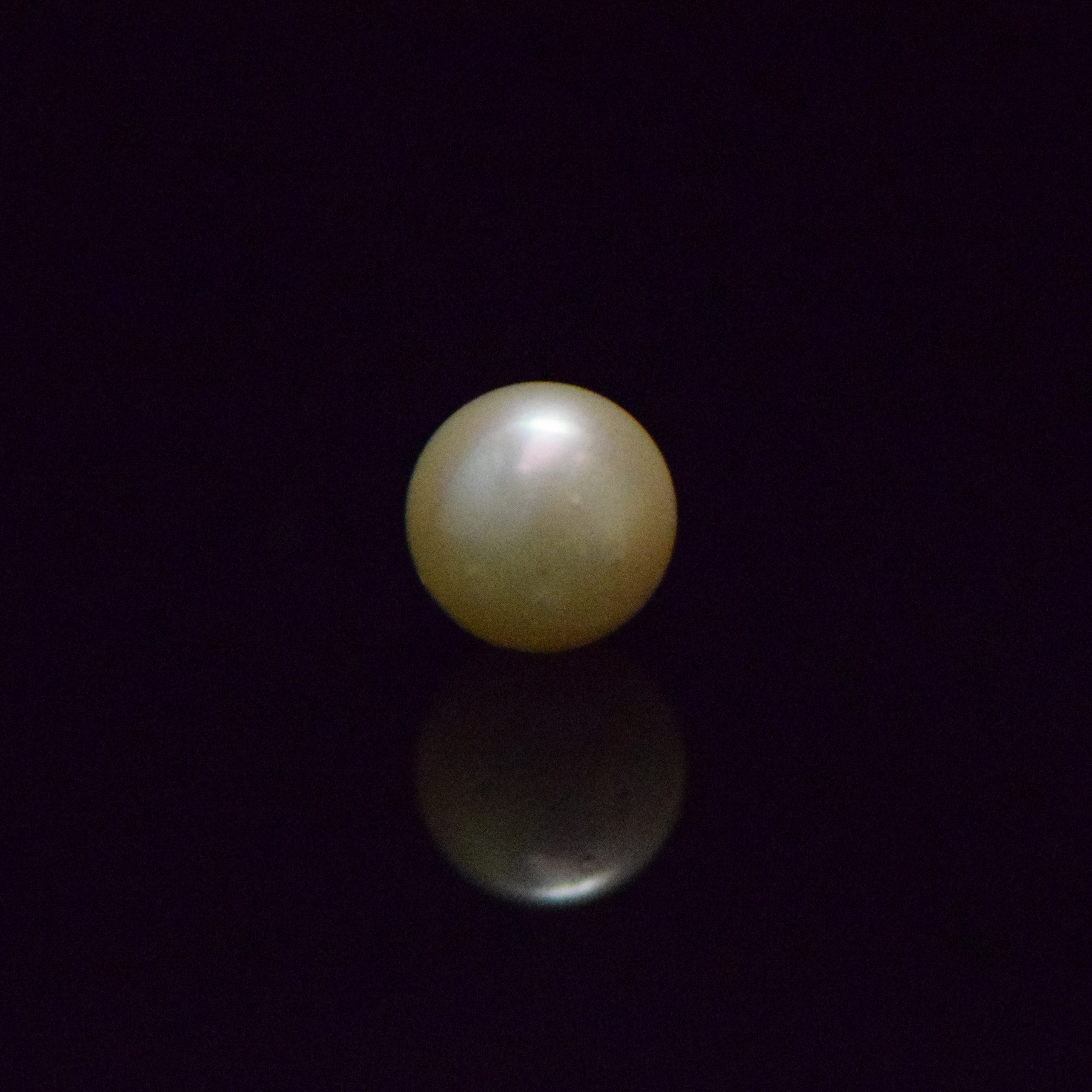 South Sea Pearl - 6.42 Carat