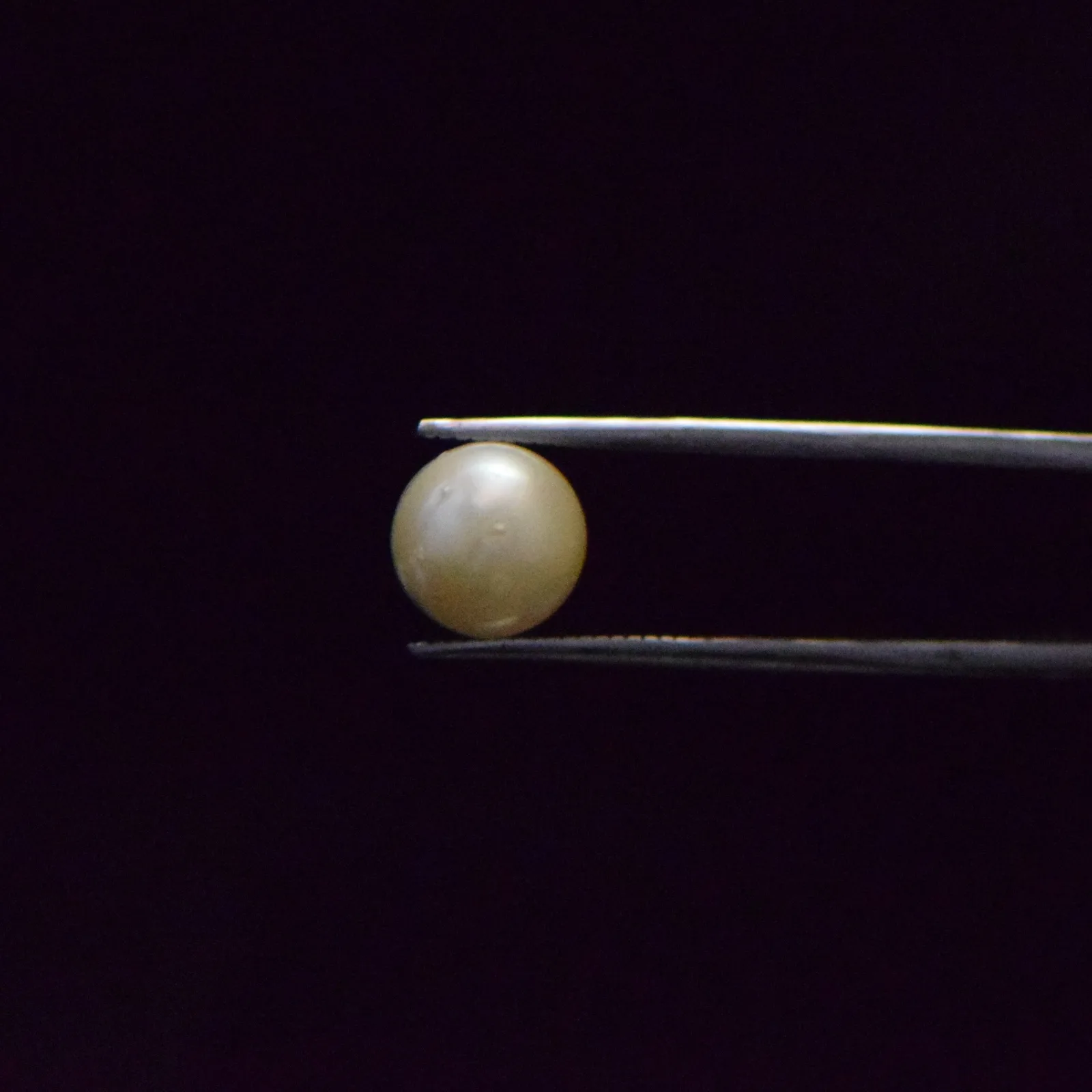 South Sea Pearl - 6.42 Carat