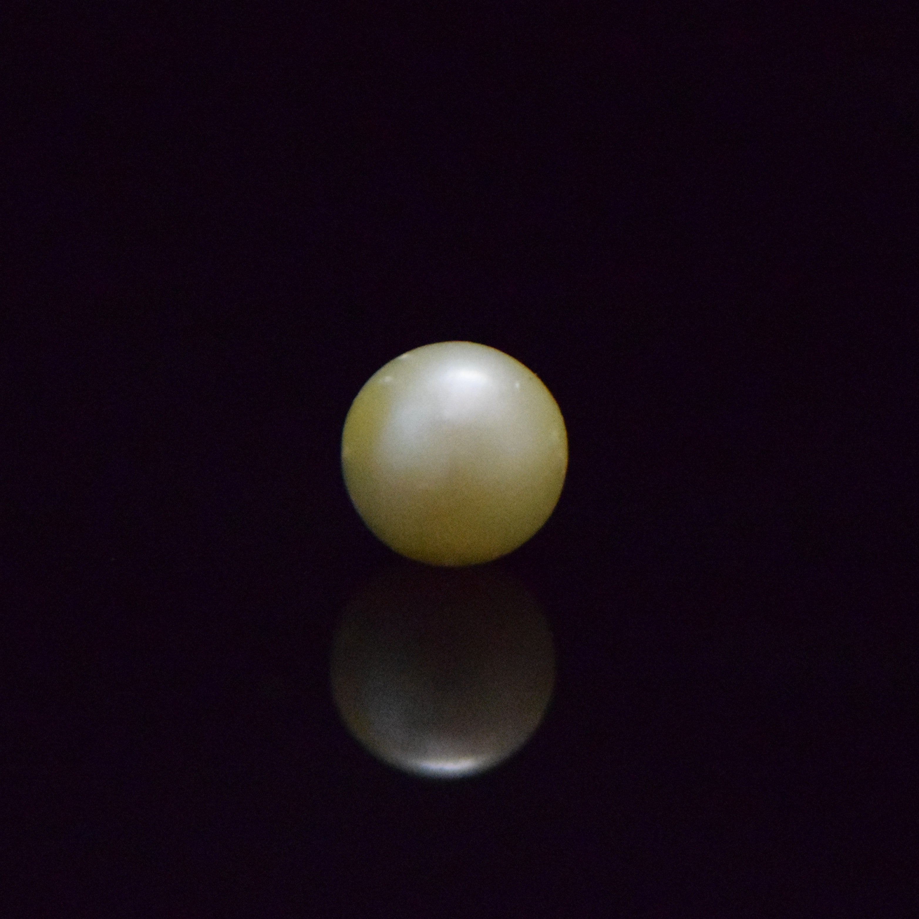 South Sea Pearl - 8.45 Carat