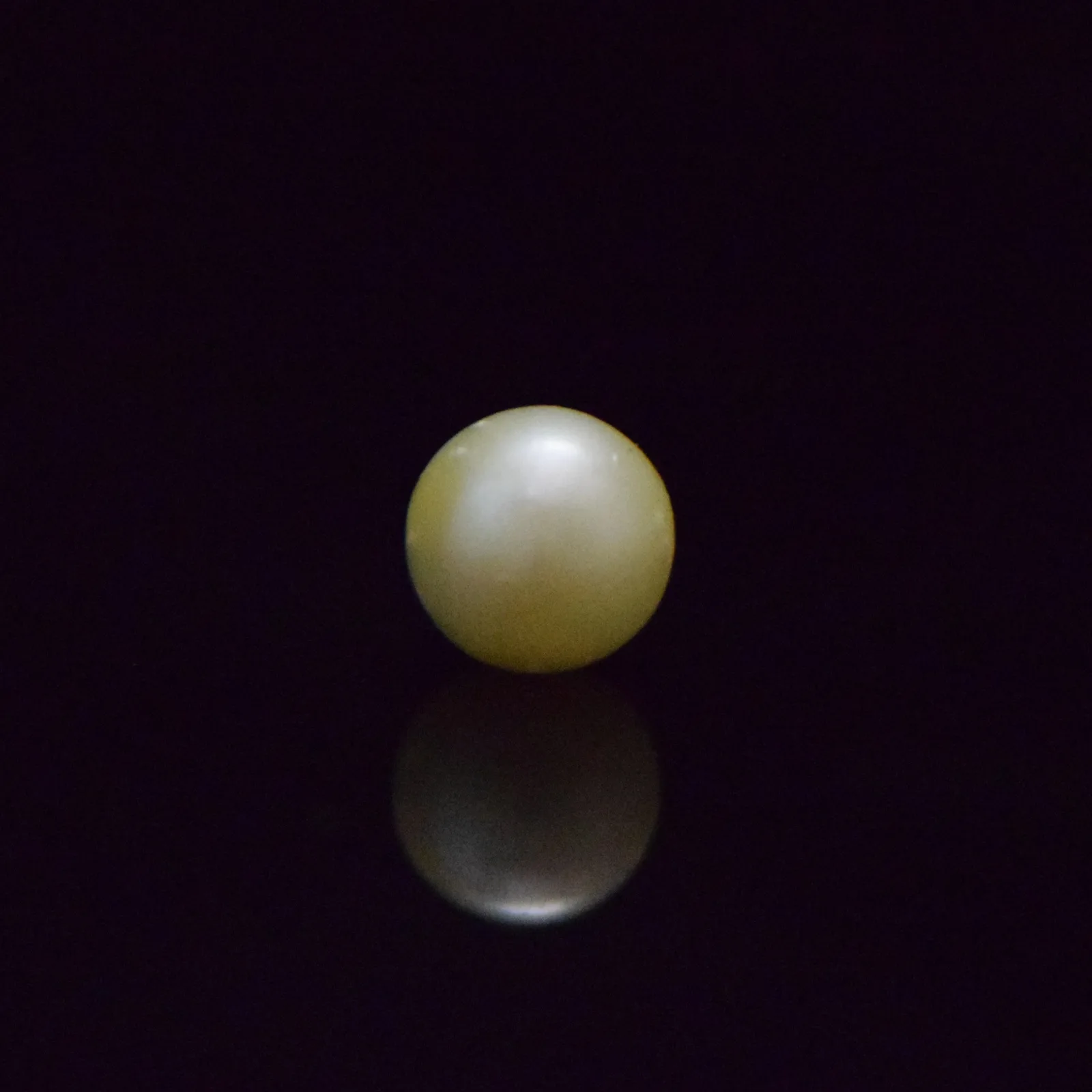 South Sea Pearl - 8.45 Carat