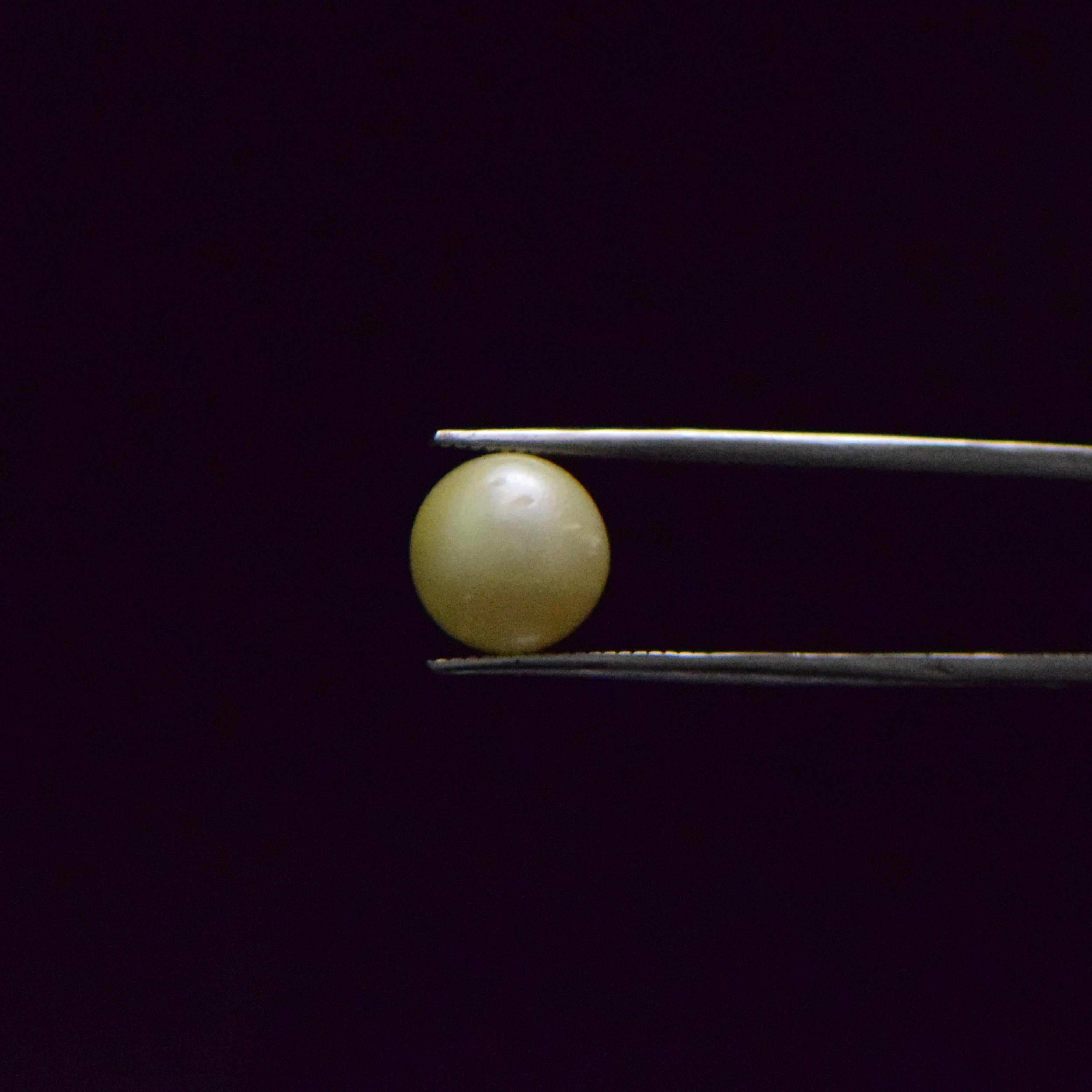 South Sea Pearl - 8.45 Carat