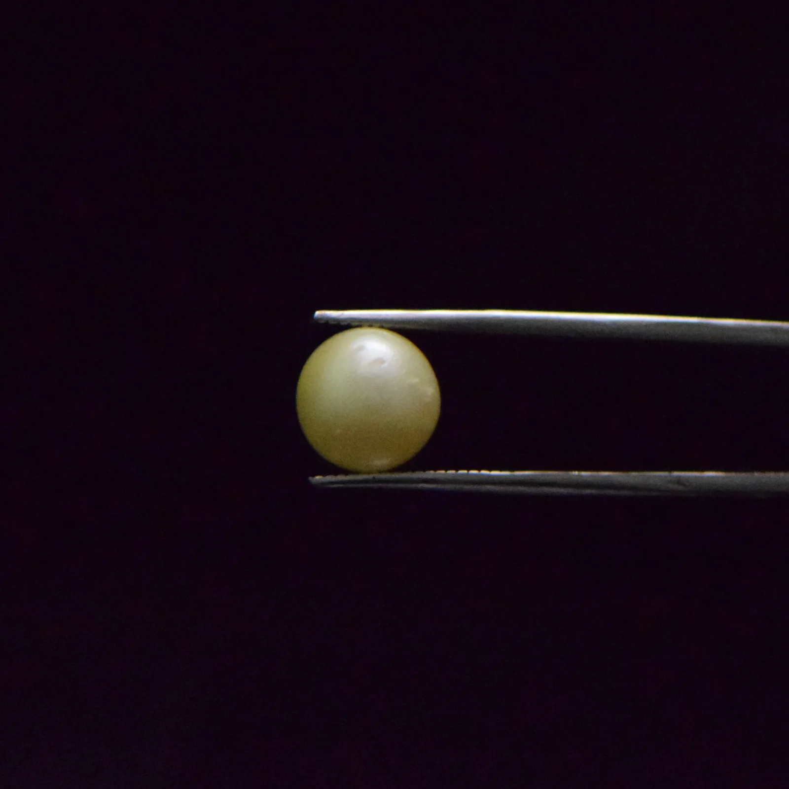 South Sea Pearl - 8.45 Carat
