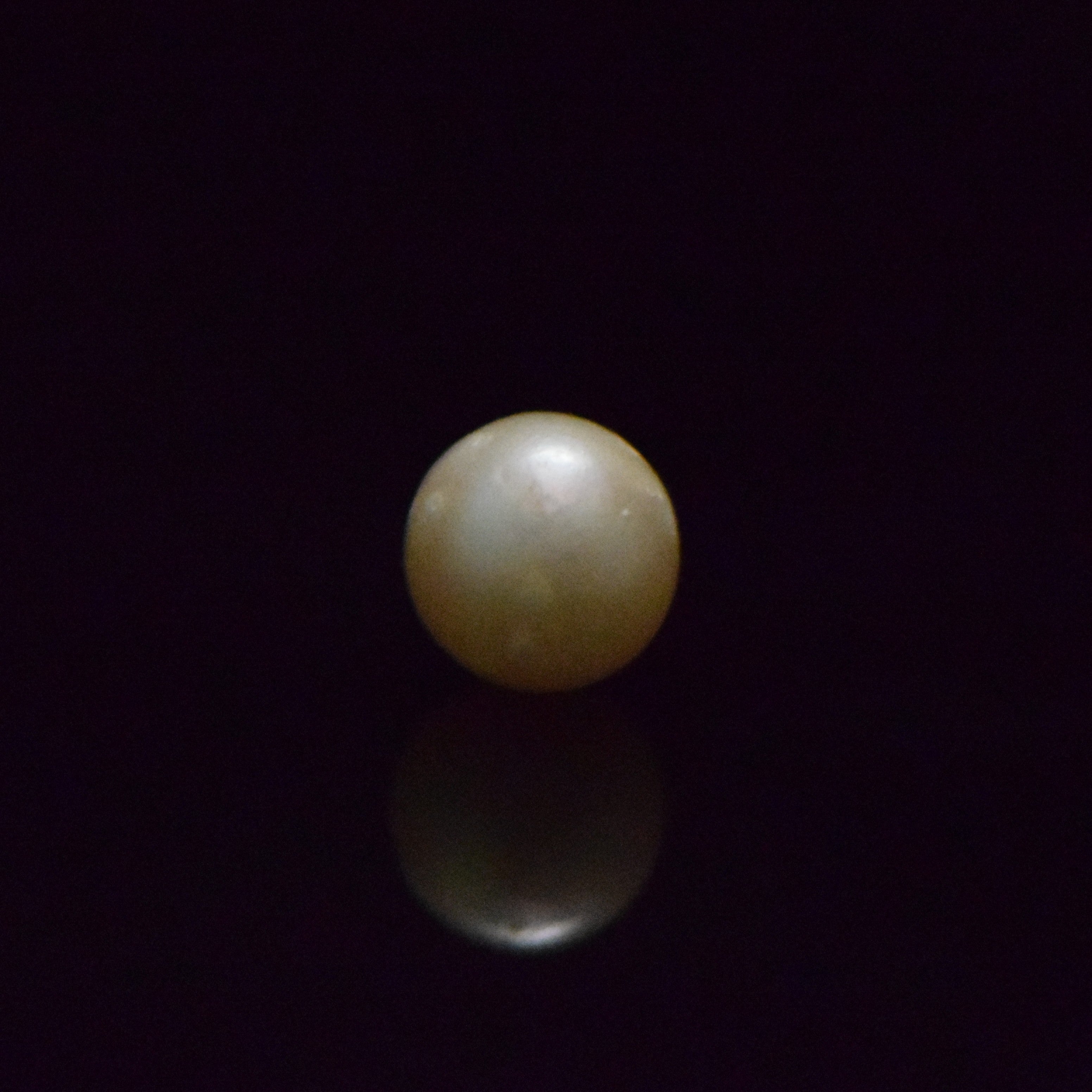 South Sea Pearl - 8.43 Carat