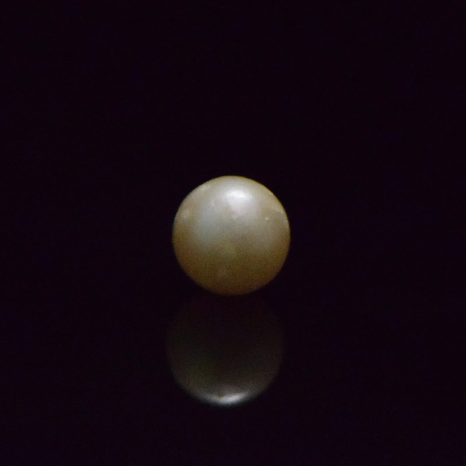 South Sea Pearl - 8.43 Carat