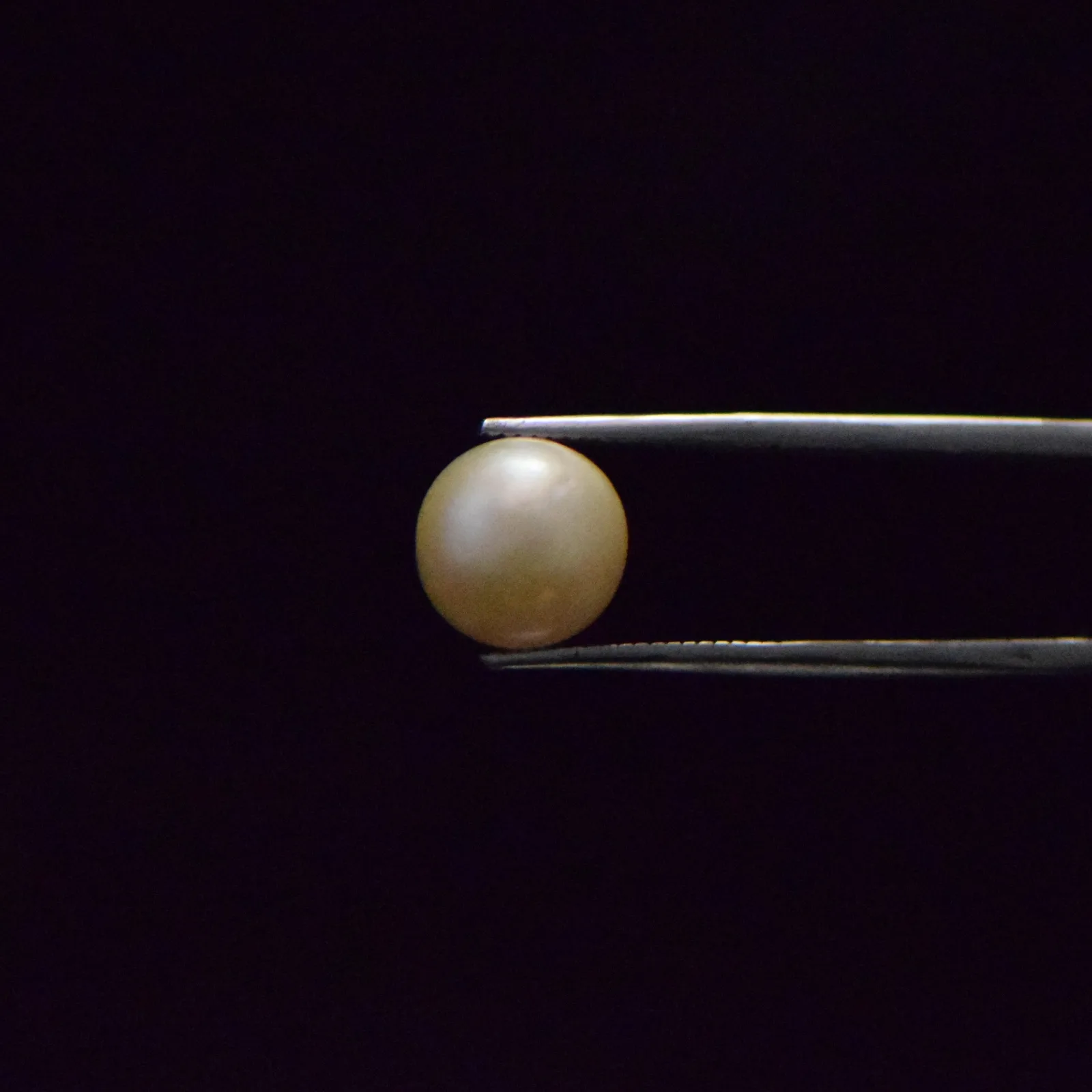 South Sea Pearl - 8.43 Carat