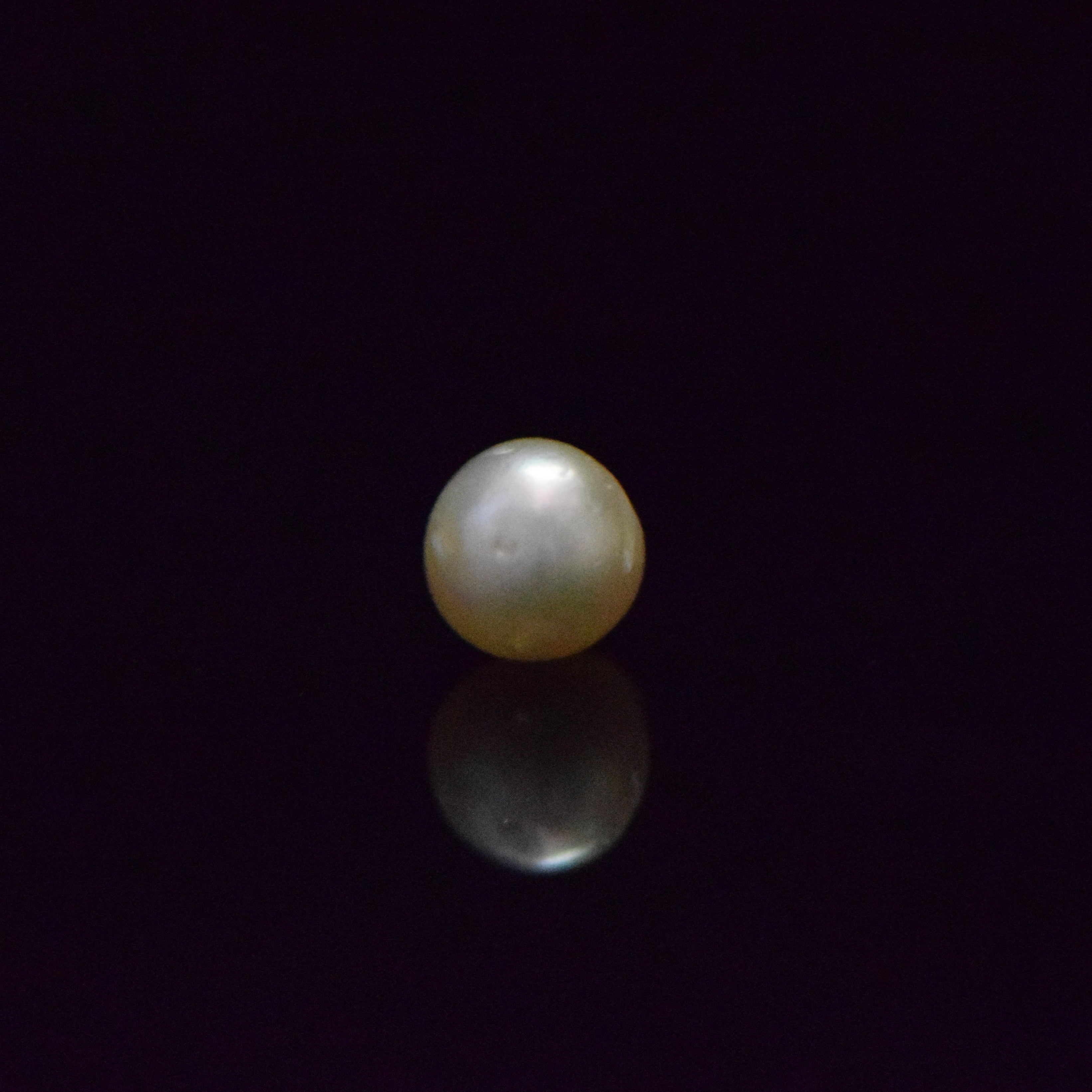 South Sea Pearl - 5.83 Carat