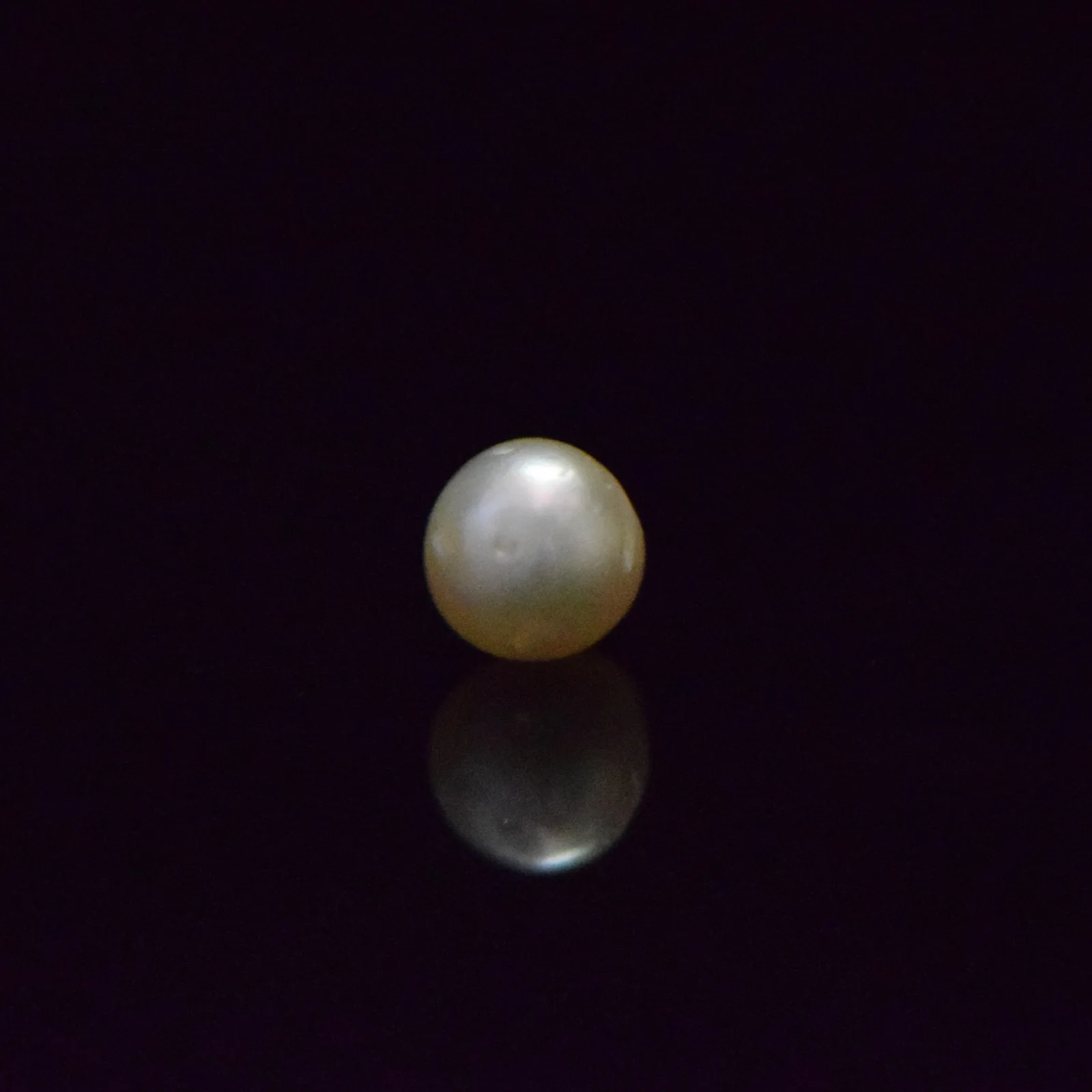 South Sea Pearl - 5.83 Carat
