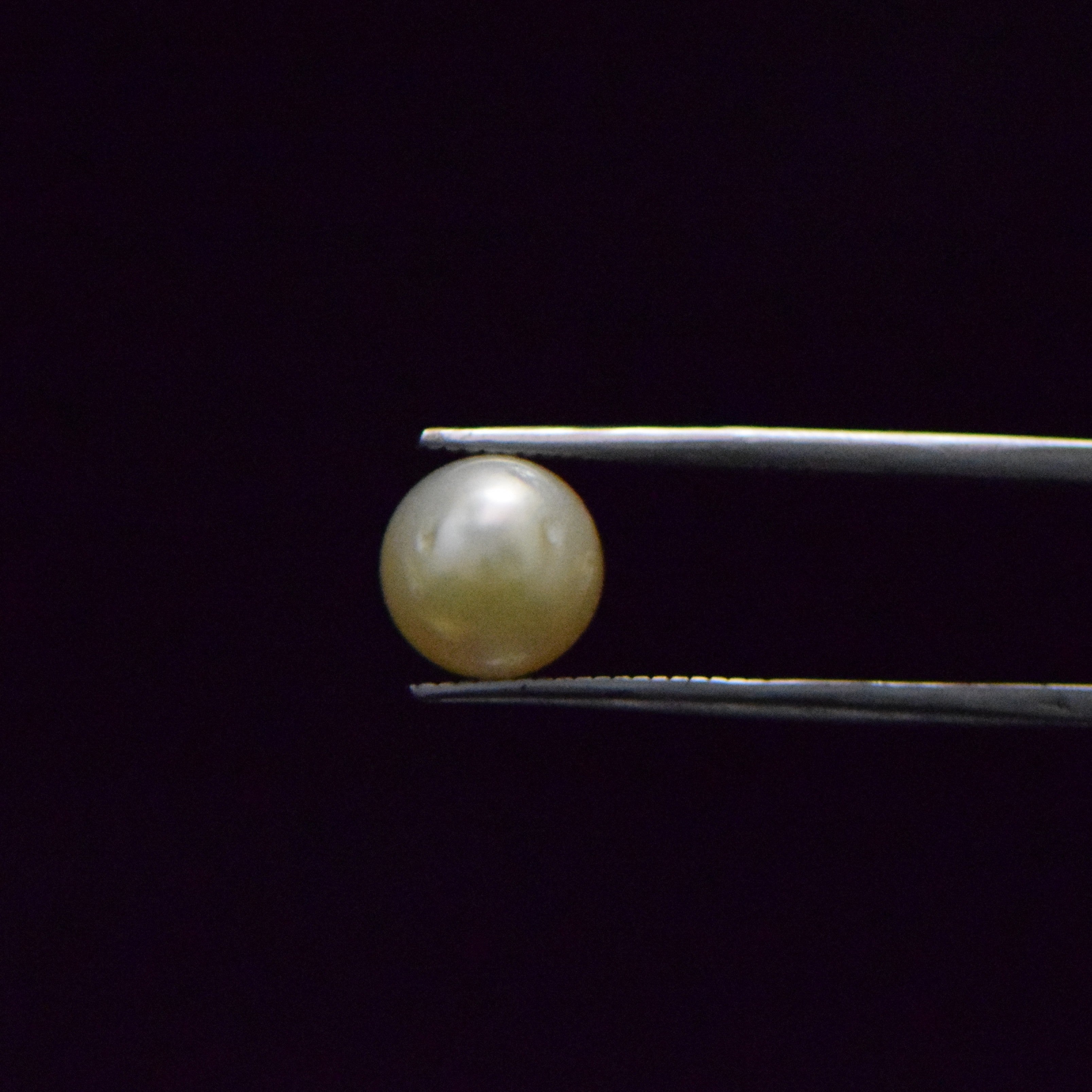 South Sea Pearl - 5.83 Carat