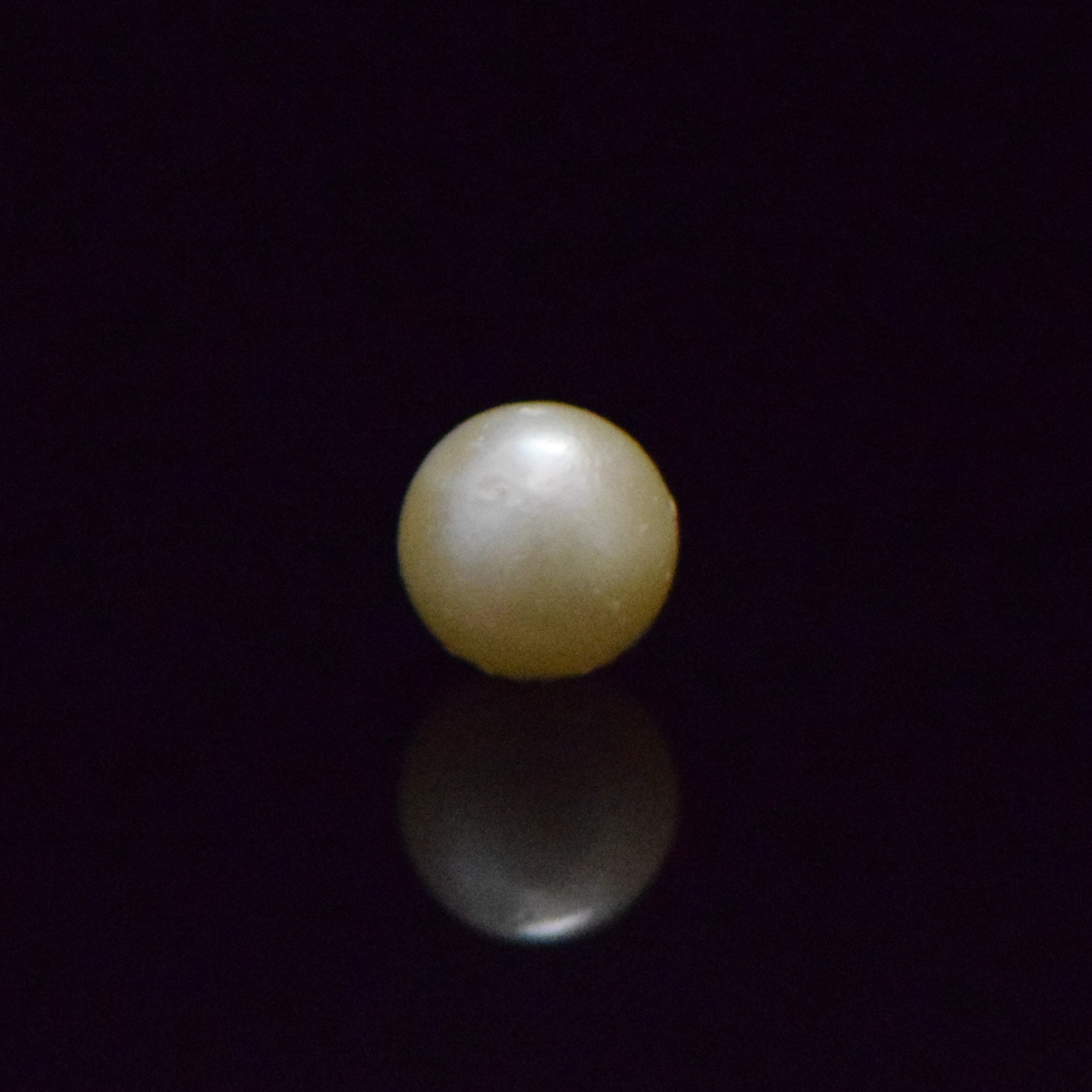 South Sea Pearl - 6.74 Carat