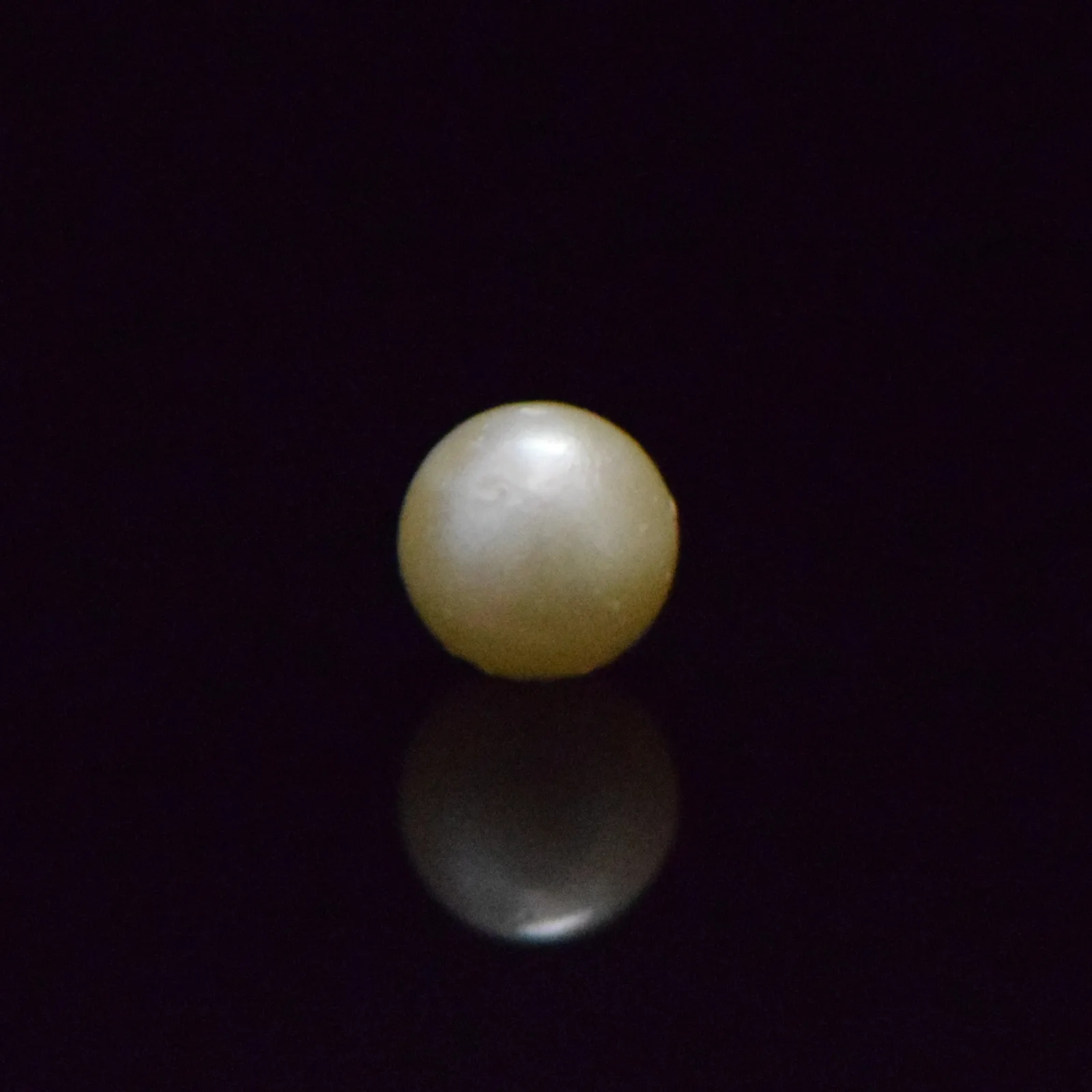 South Sea Pearl - 6.74 Carat