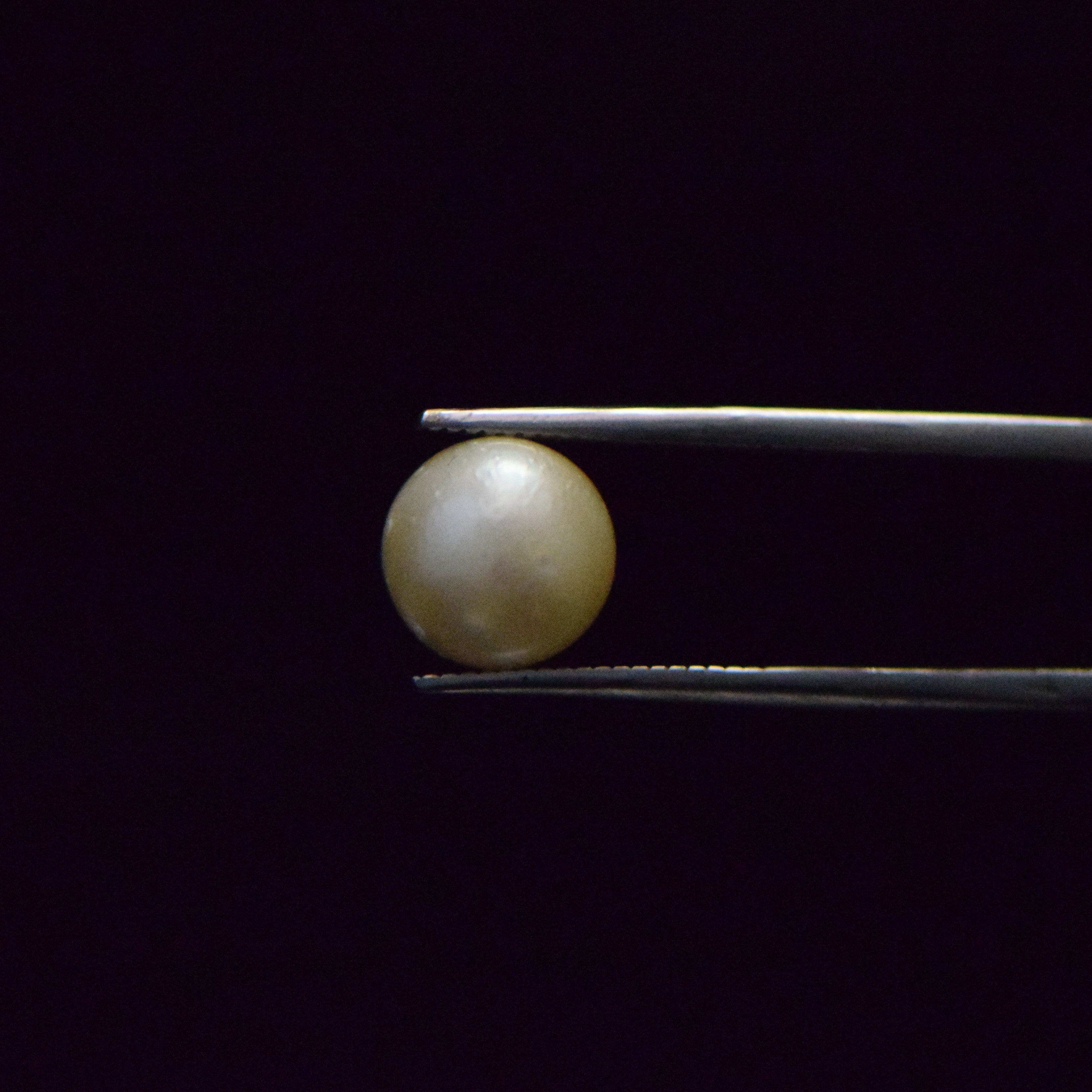 South Sea Pearl - 6.74 Carat