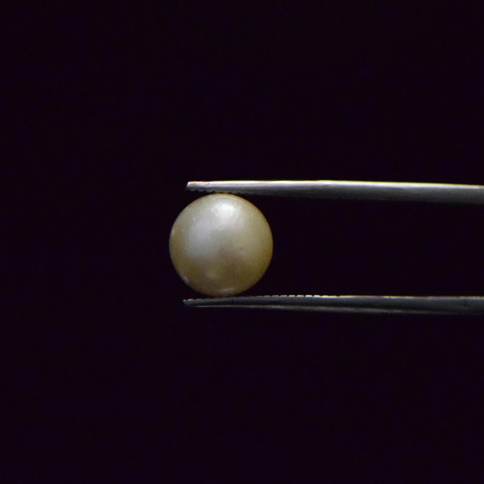 South Sea Pearl - 6.74 Carat