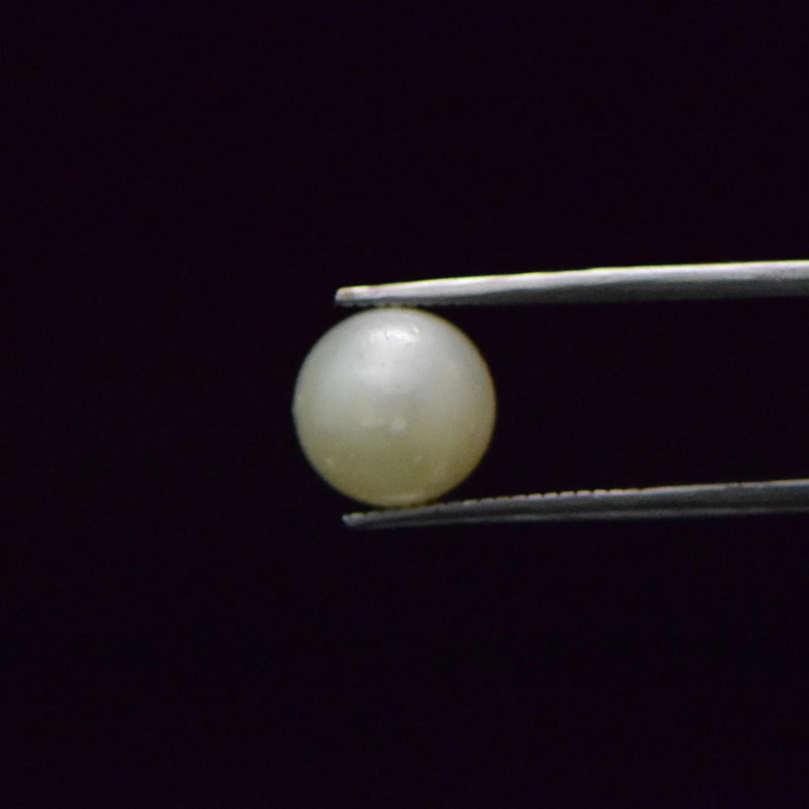 South Sea Pearl - 7.25 Carat