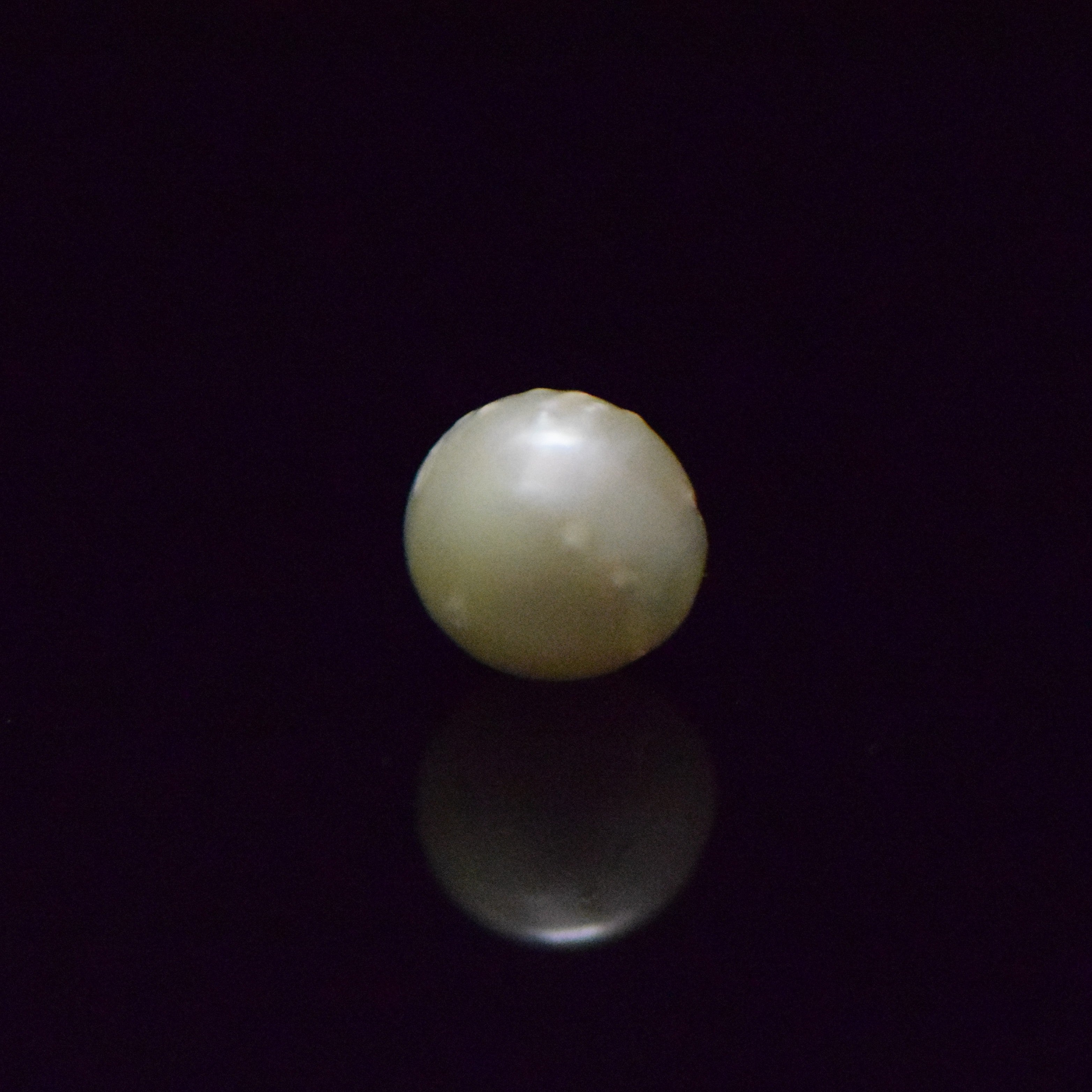 South Sea Pearl - 7.51 Carat