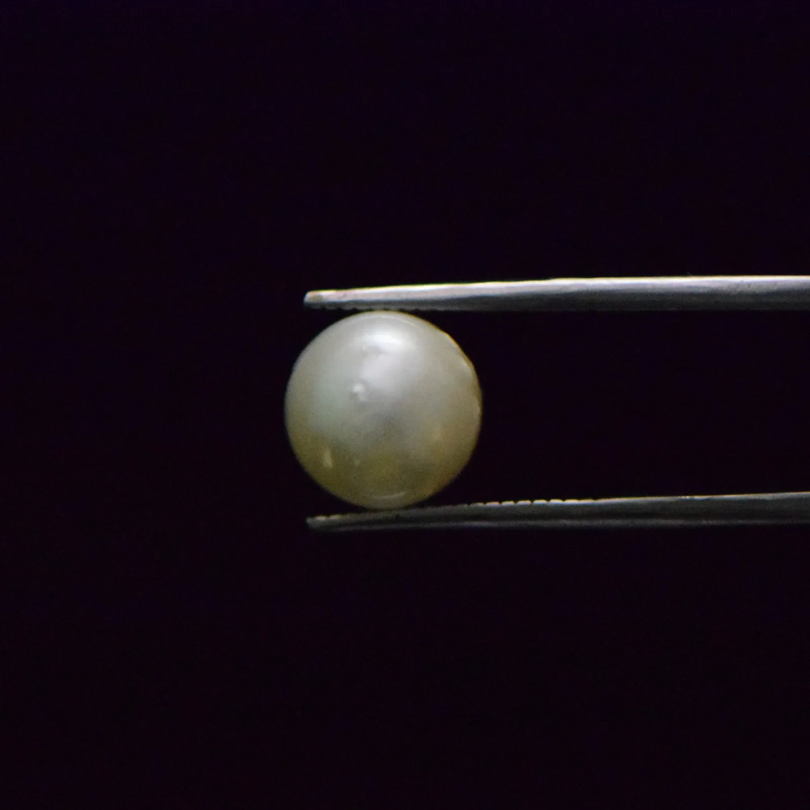 South Sea Pearl - 7.51 Carat