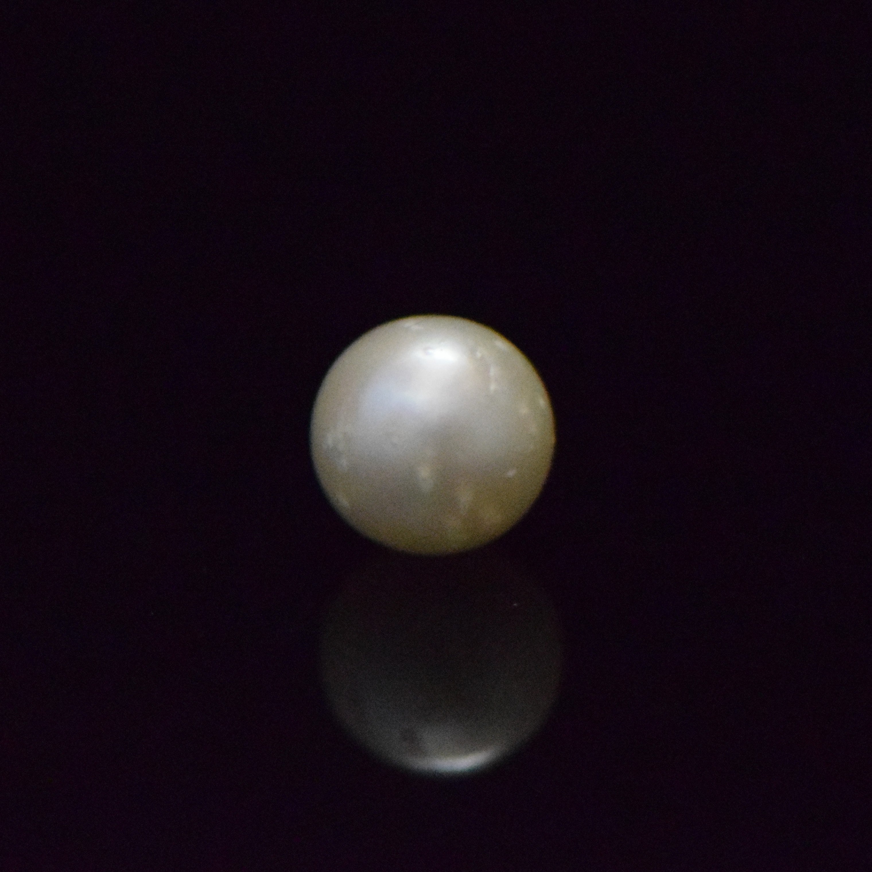 South Sea Pearl - 7.6 Carat