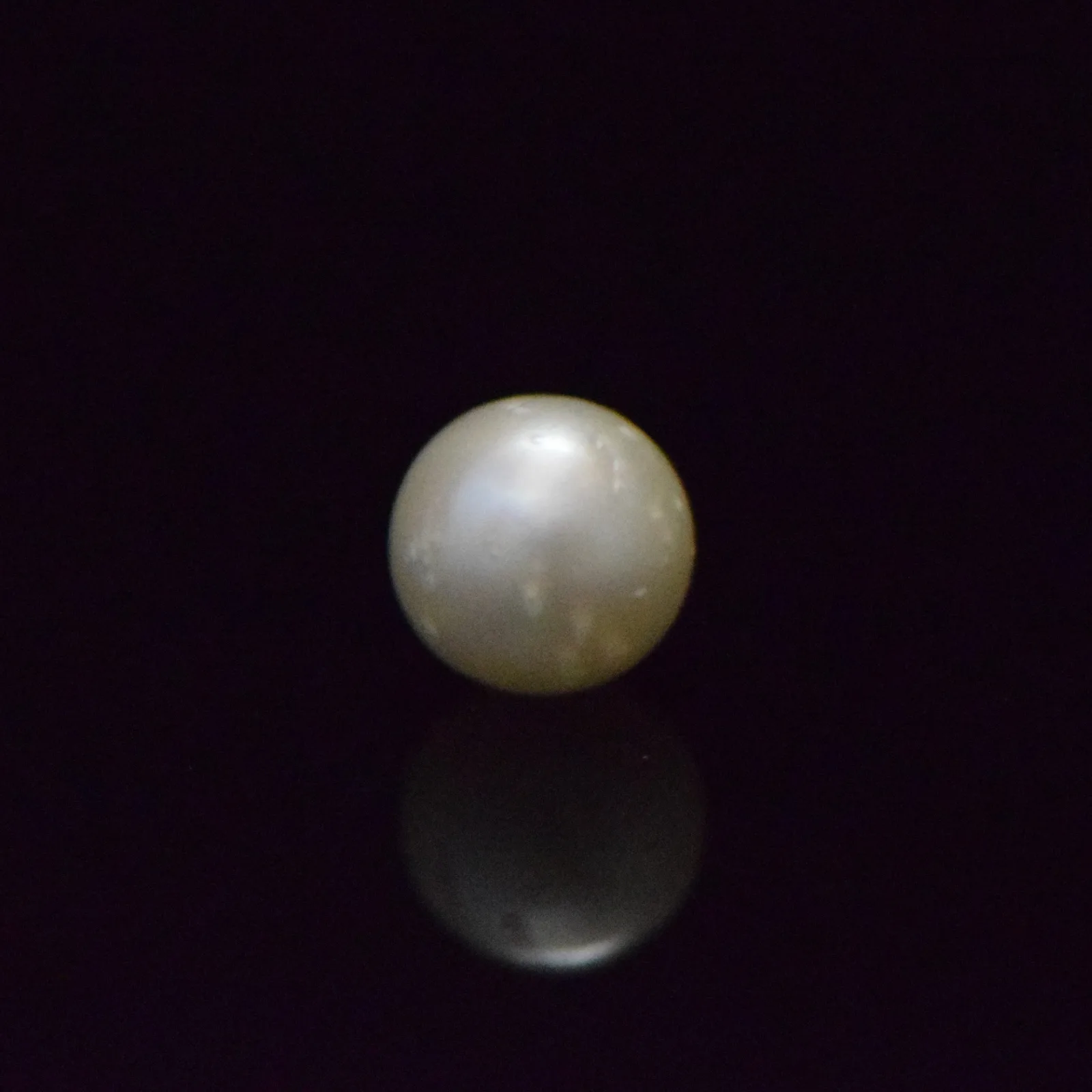 South Sea Pearl - 7.6 Carat