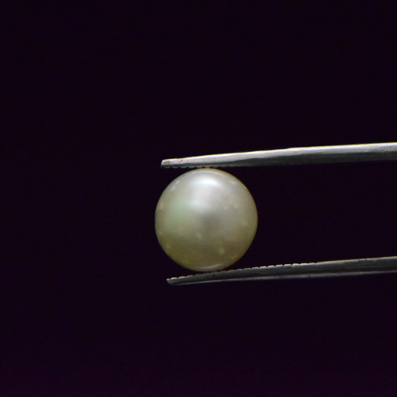South Sea Pearl - 7.6 Carat