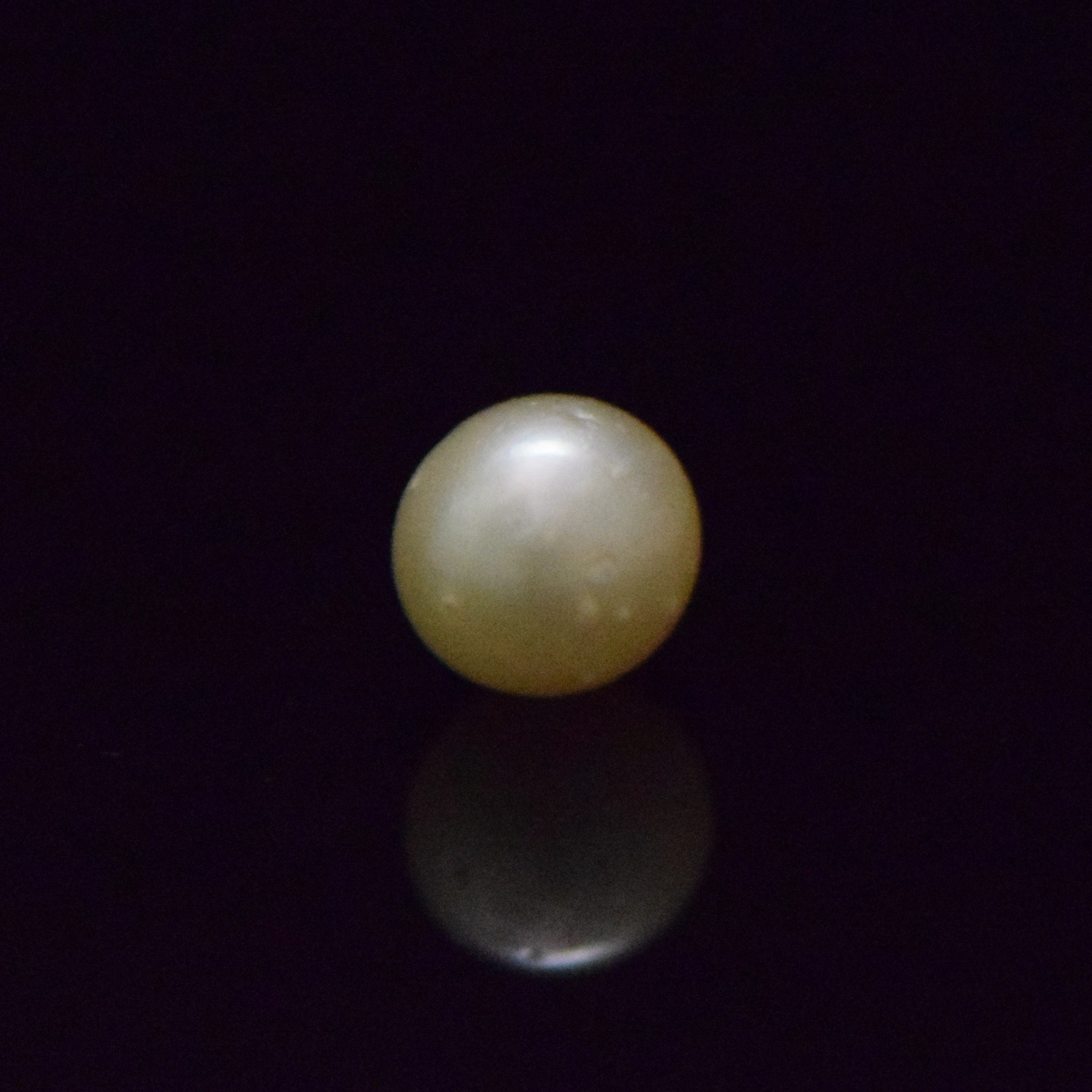 South Sea Pearl - 6.41 Carat
