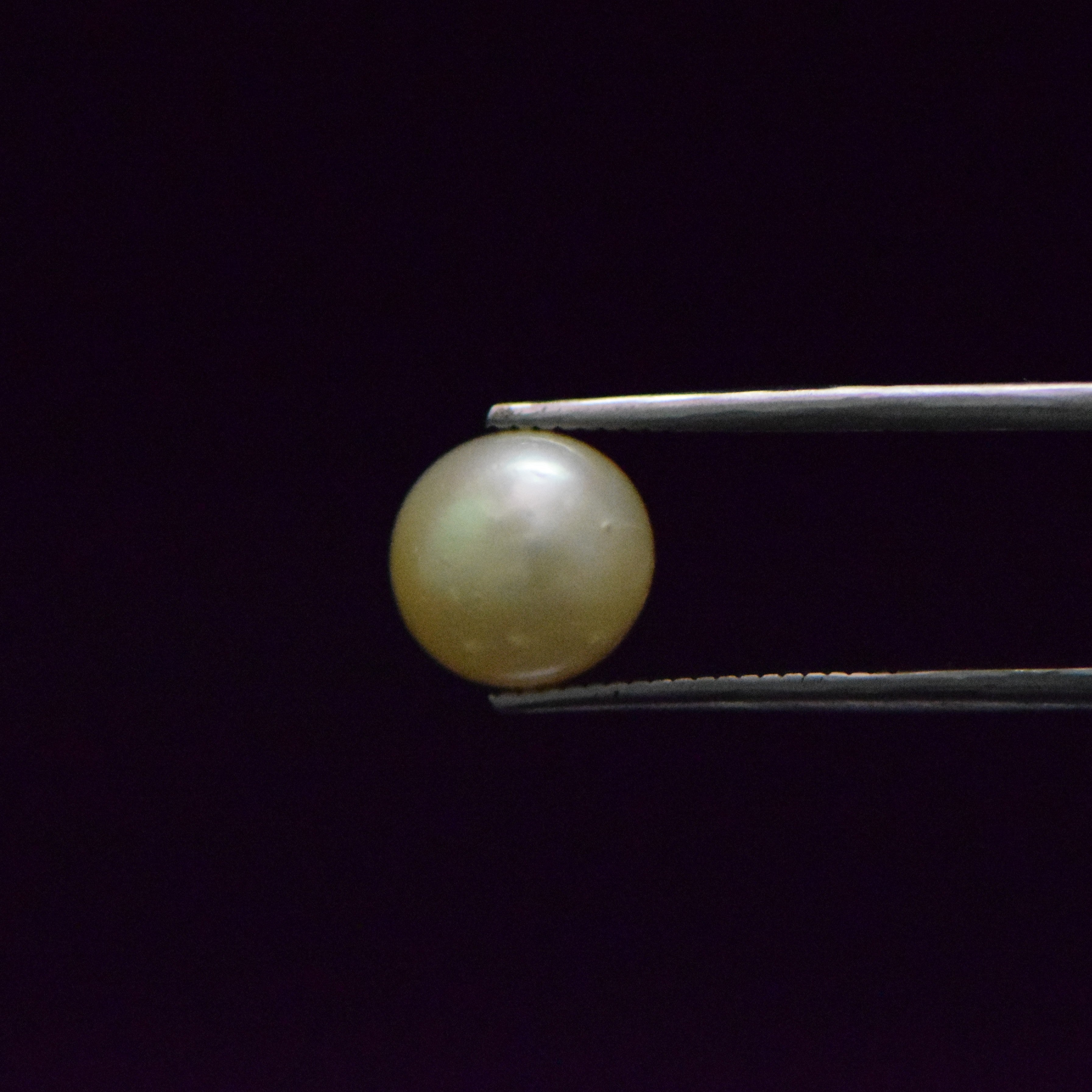 South Sea Pearl - 6.41 Carat