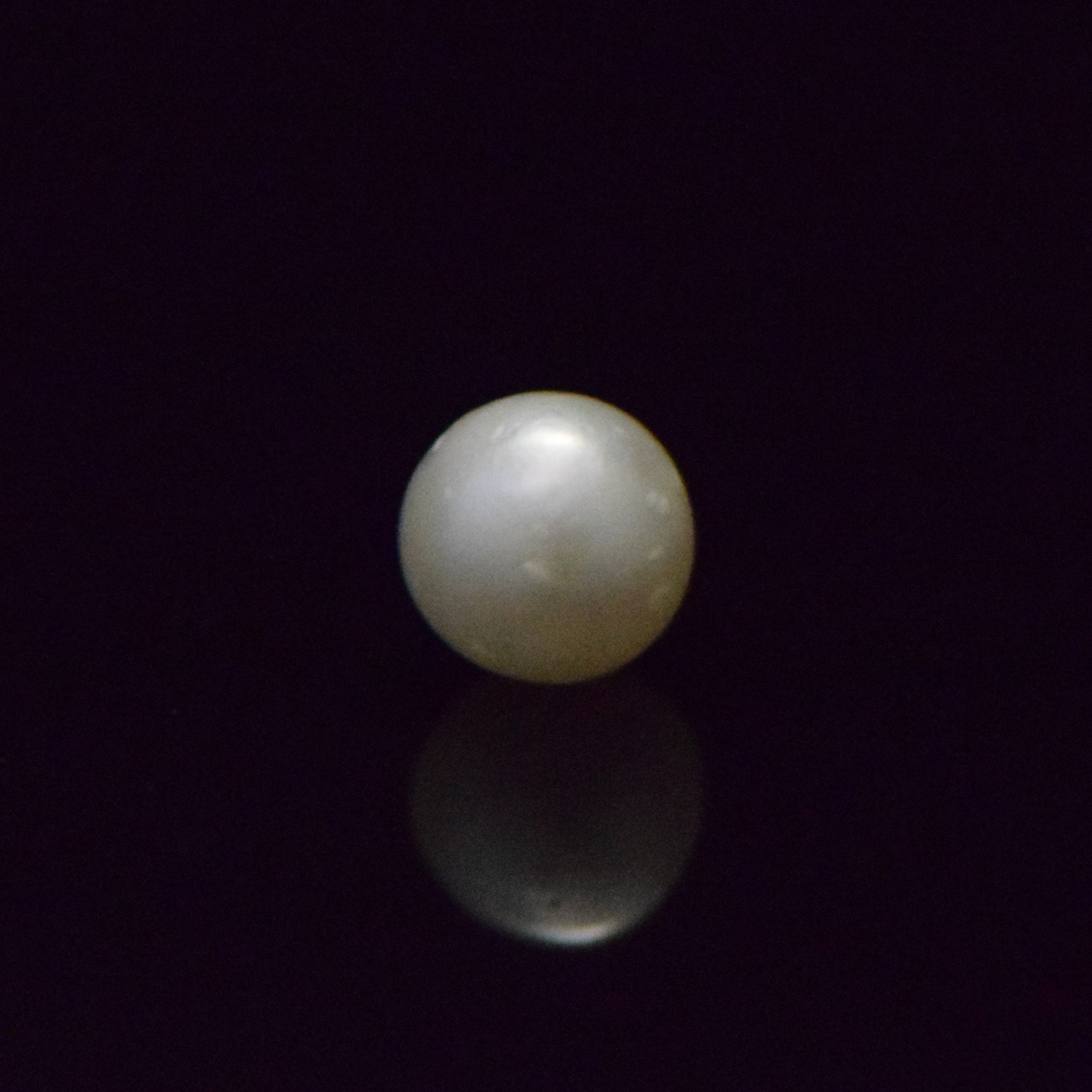 South Sea Pearl - 5.81 Carat